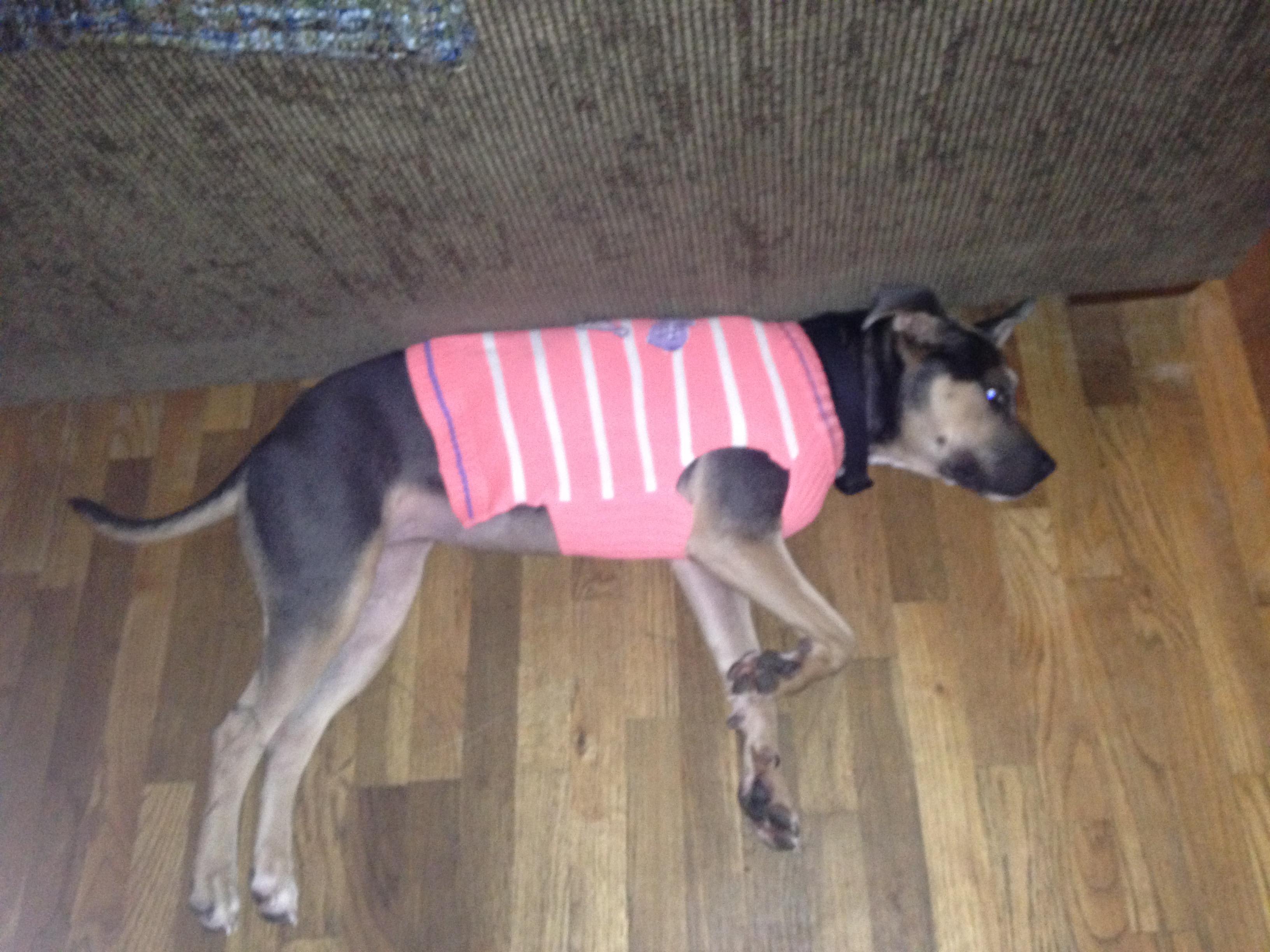 Question details sensitive content