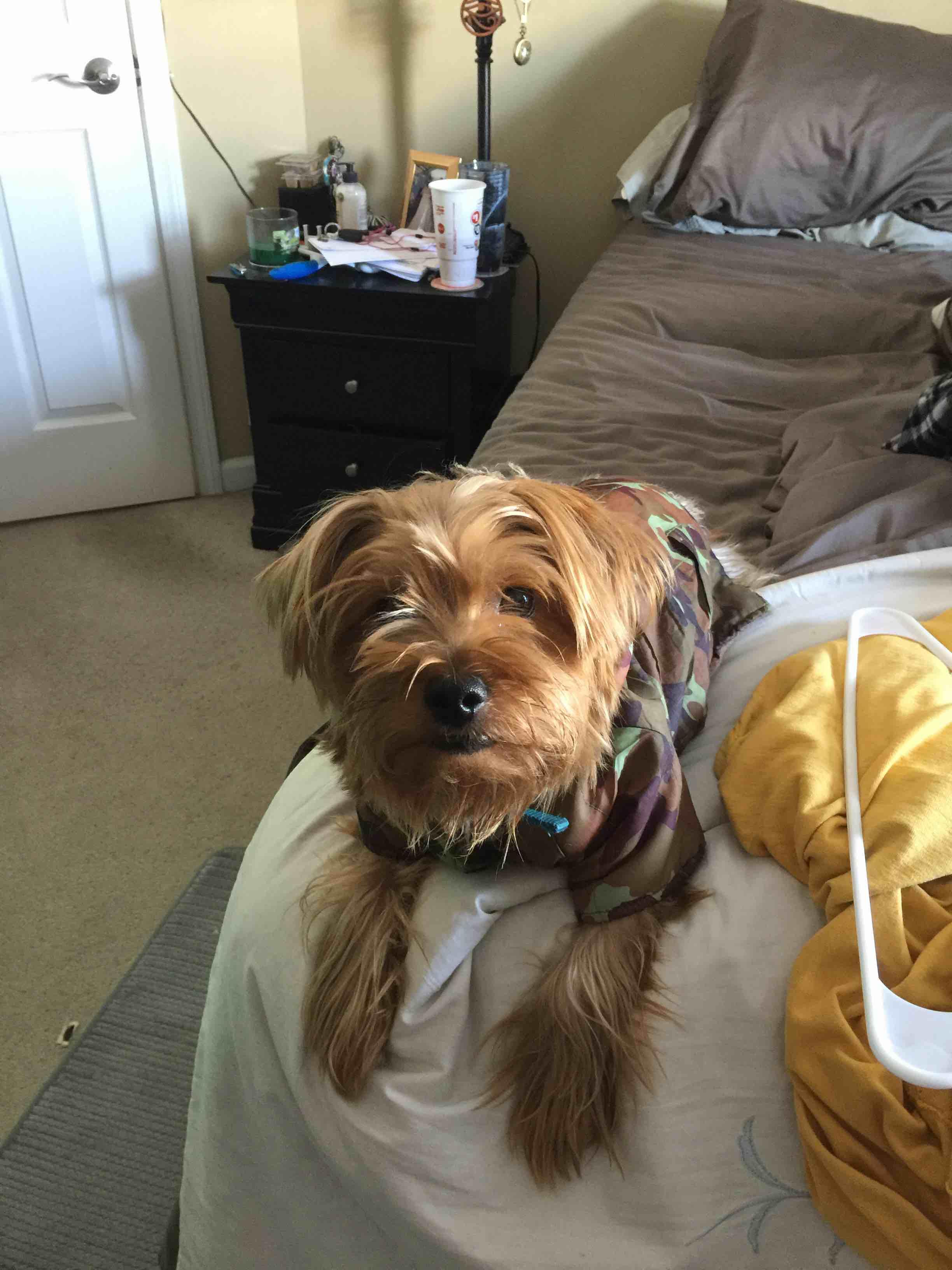 Question details sensitive content