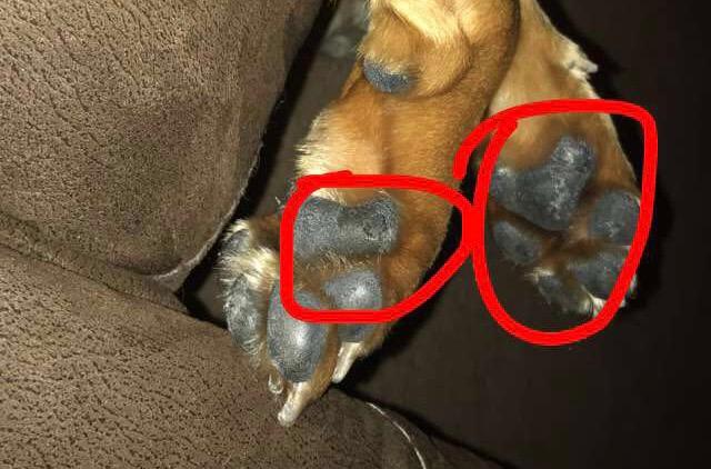 Question details sensitive content