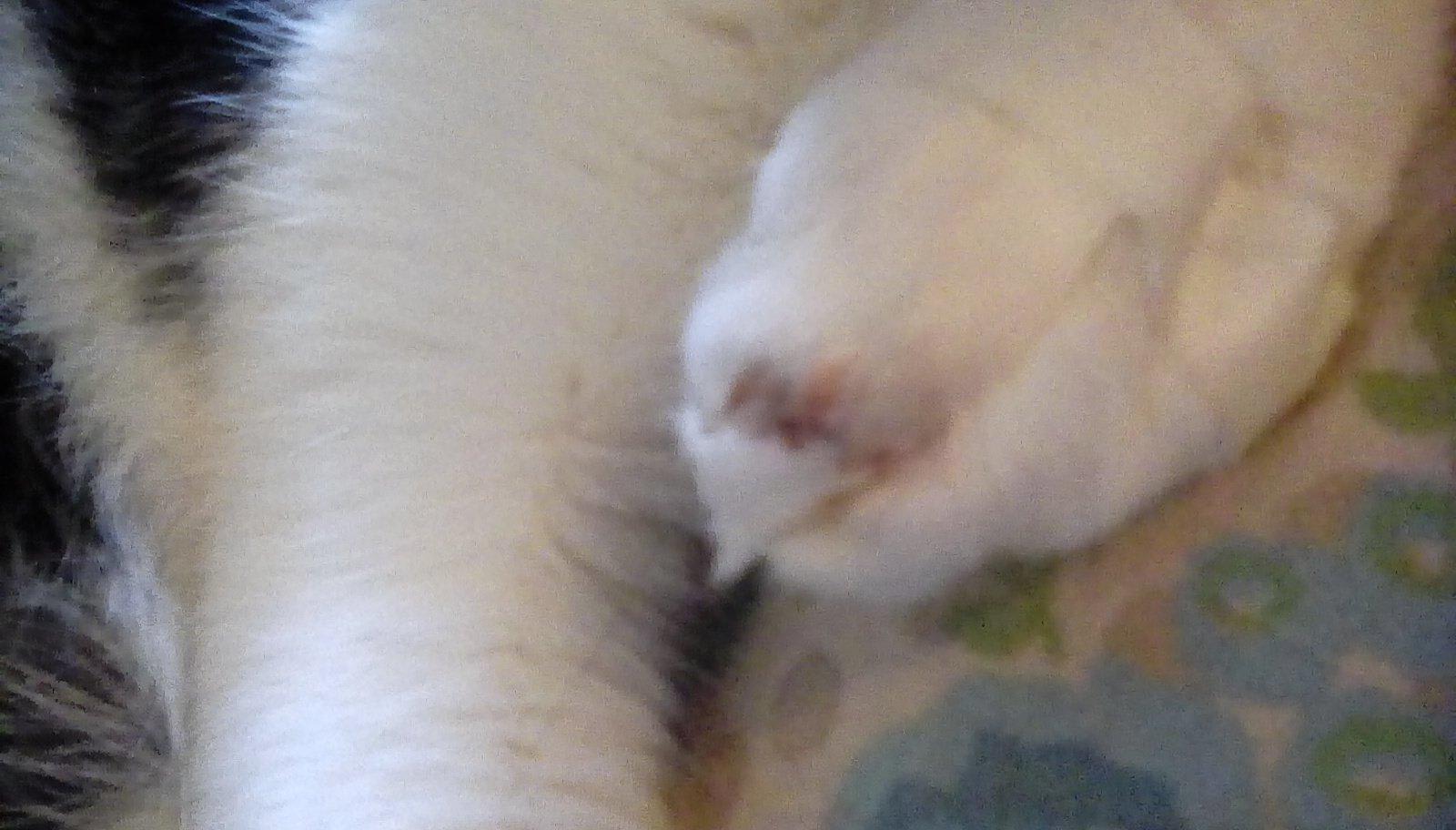 Question details sensitive content