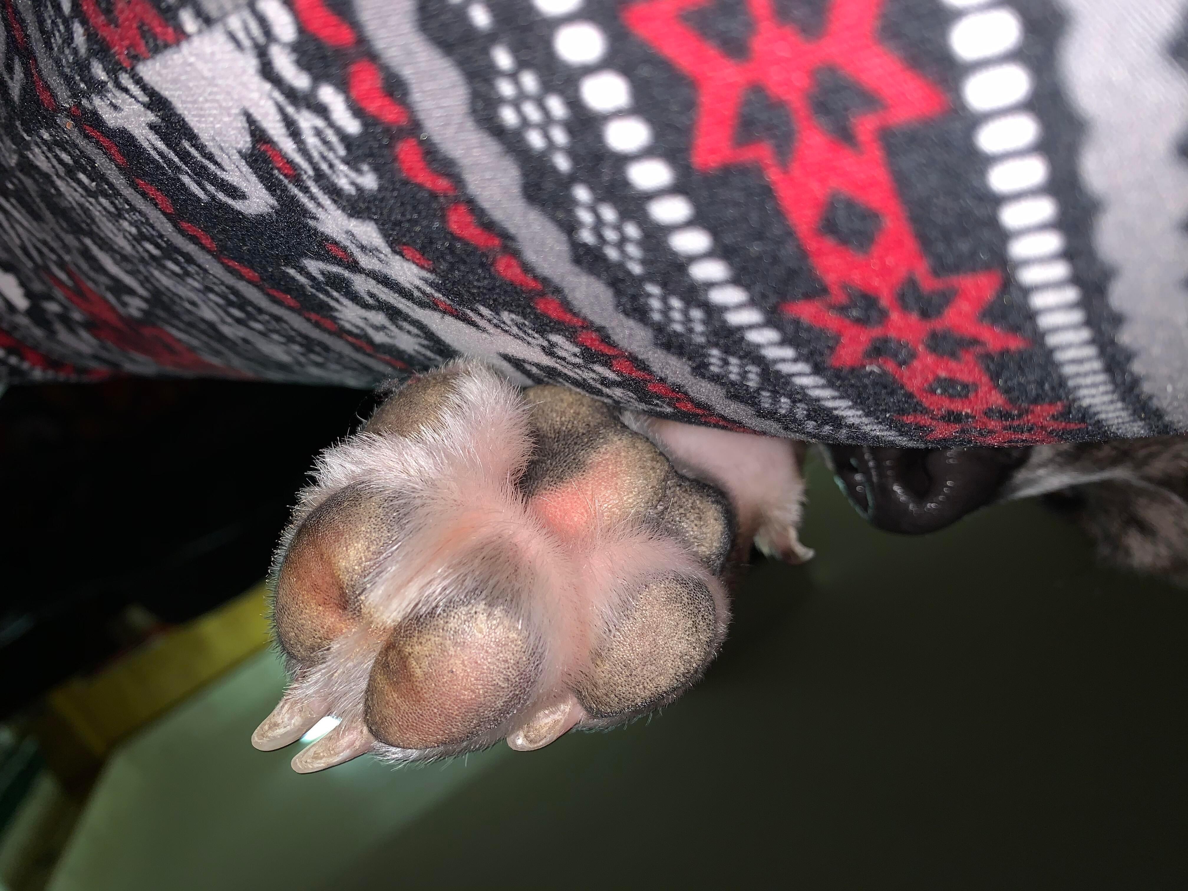 Question details sensitive content