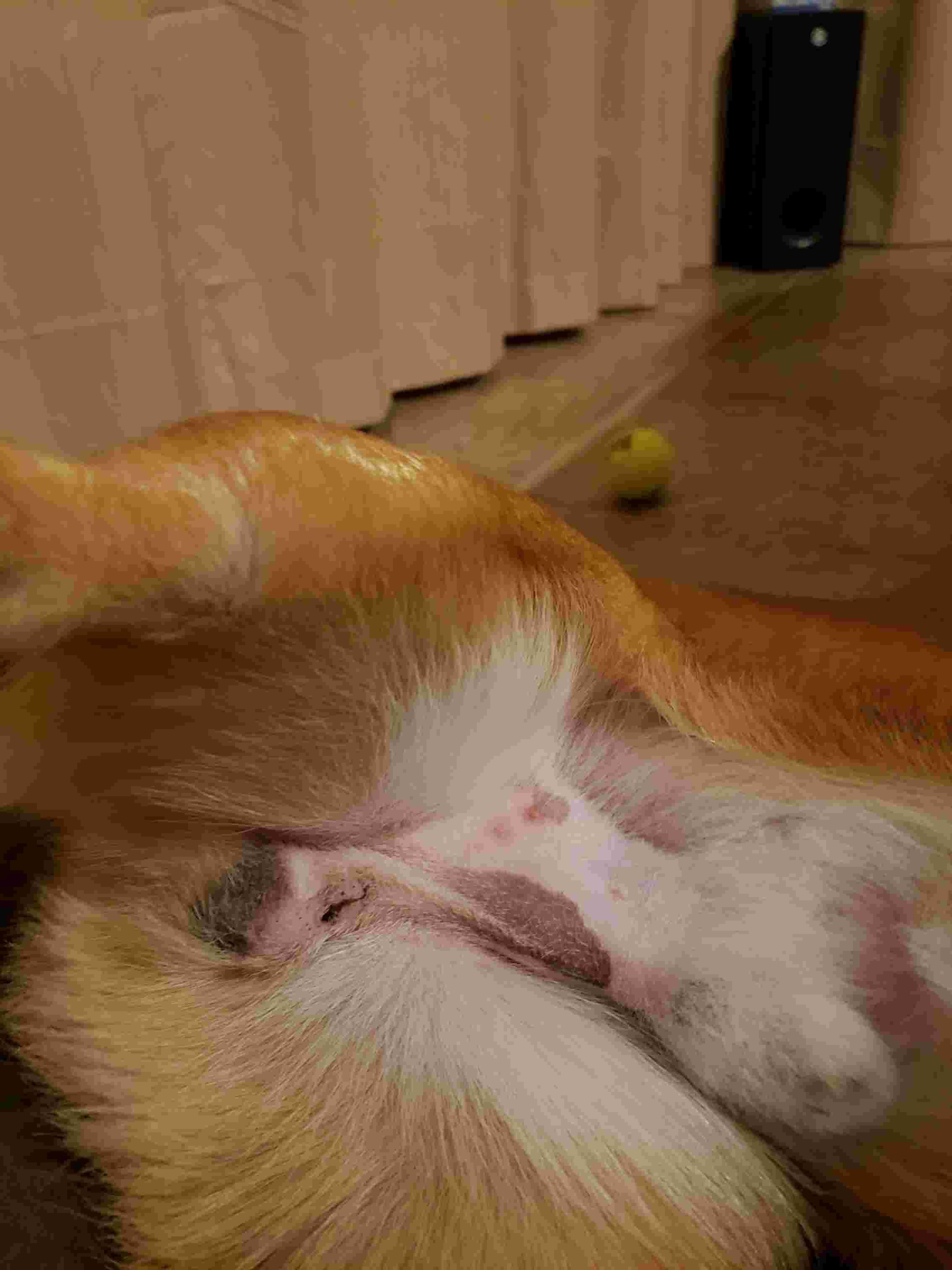 Question details sensitive content