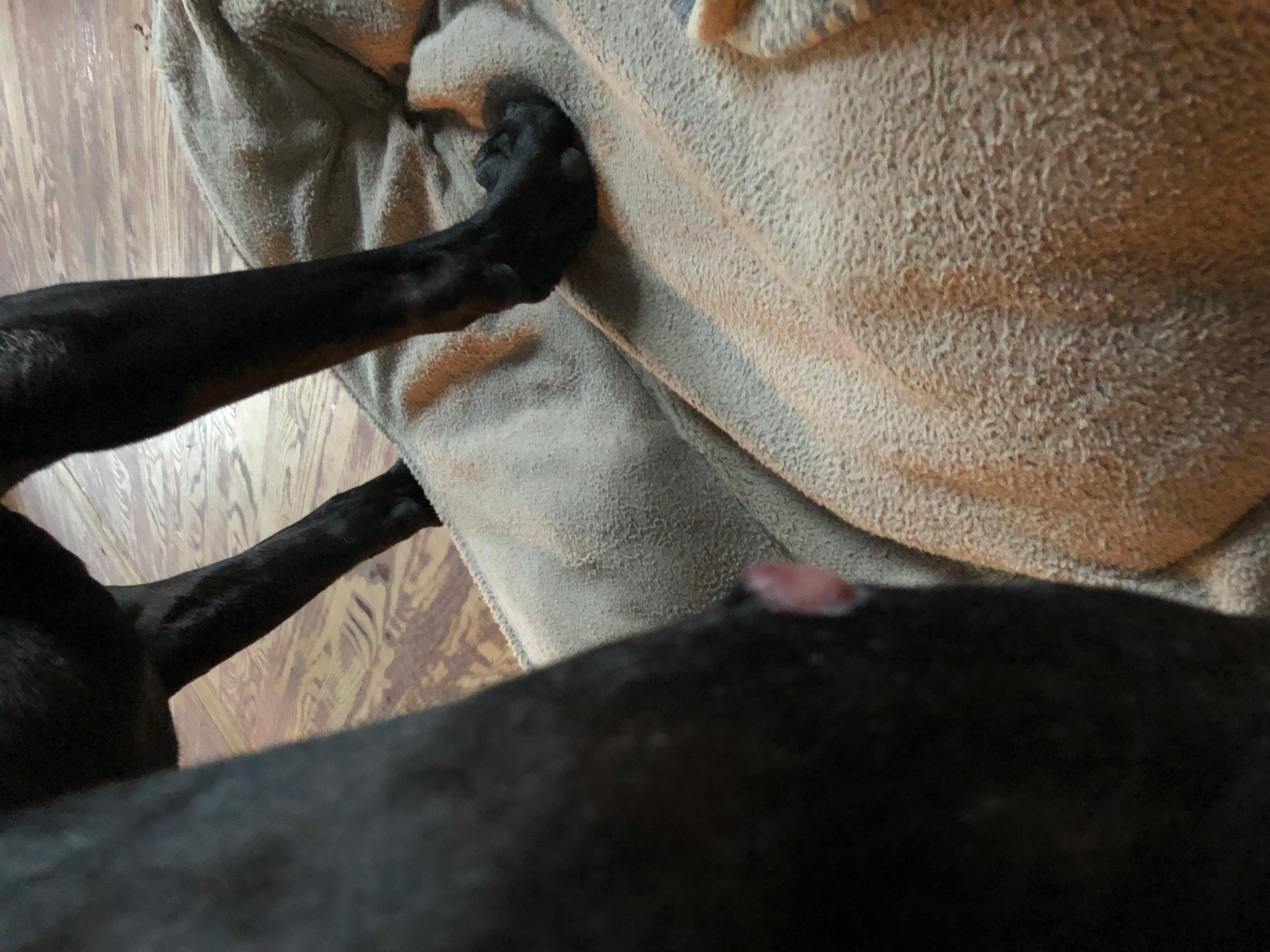 Question details sensitive content