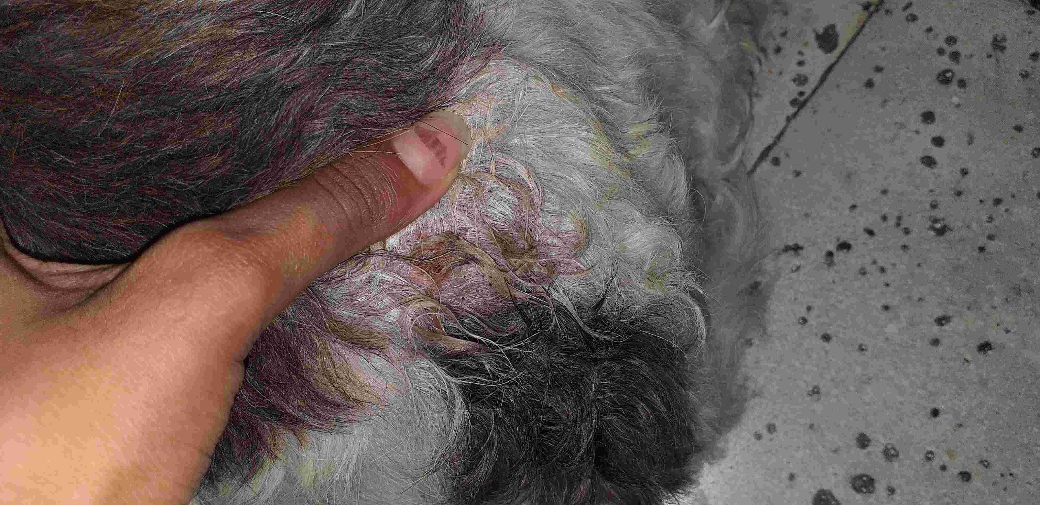 Question details sensitive content