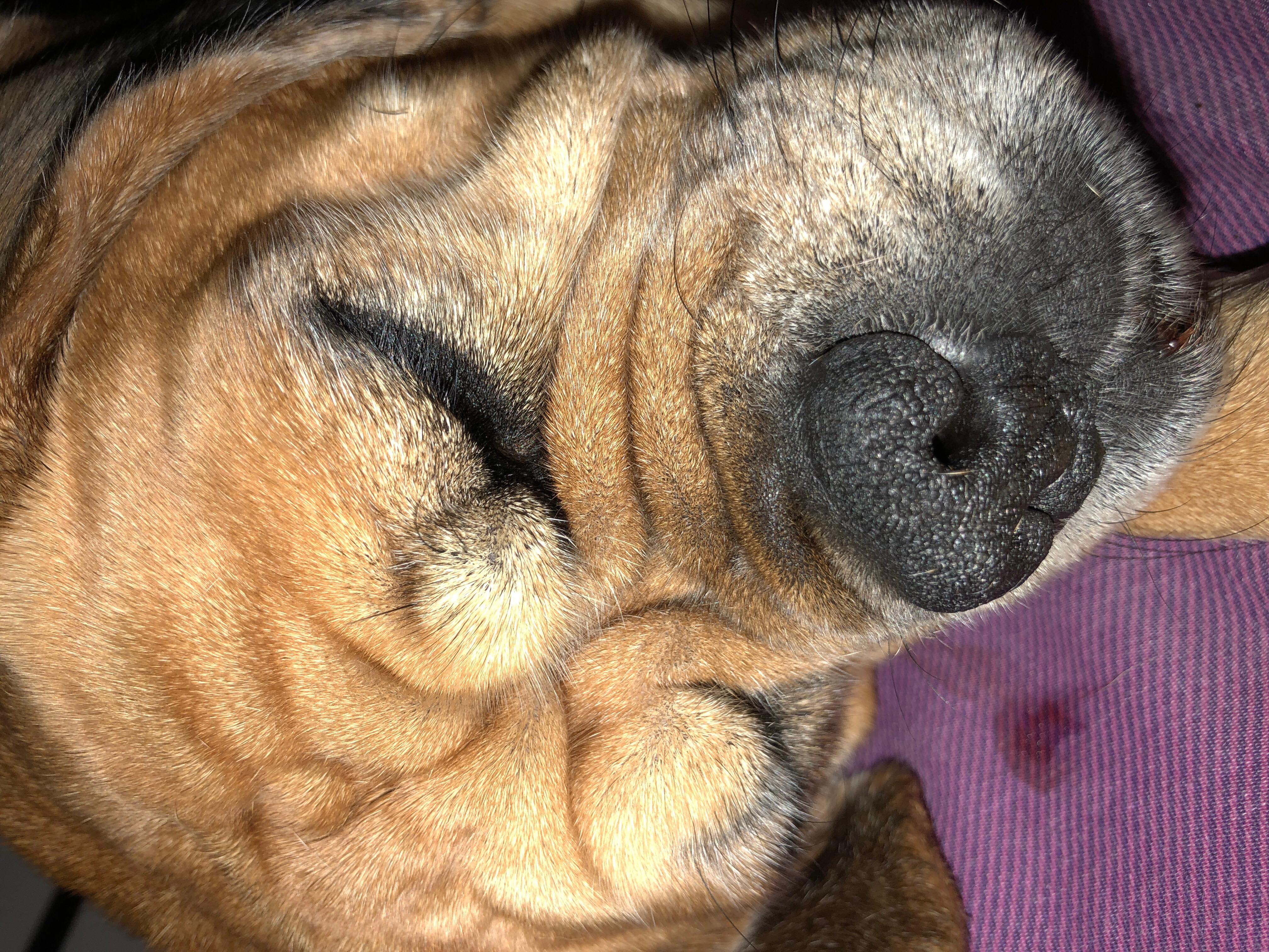 Question details sensitive content