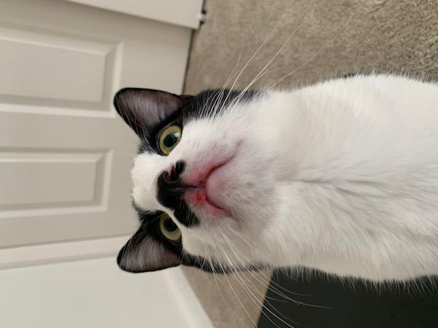 Question details sensitive content