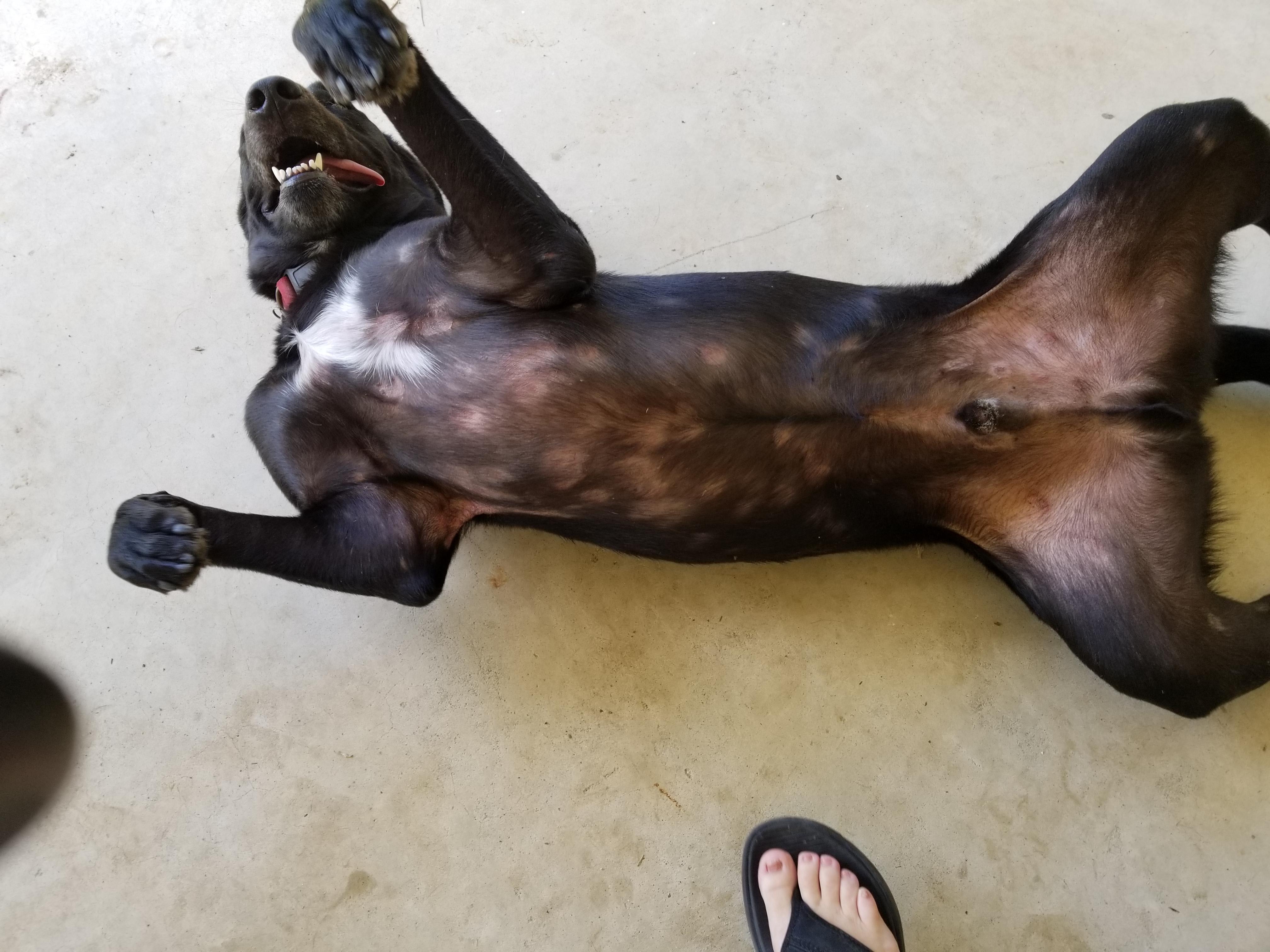 Question details sensitive content