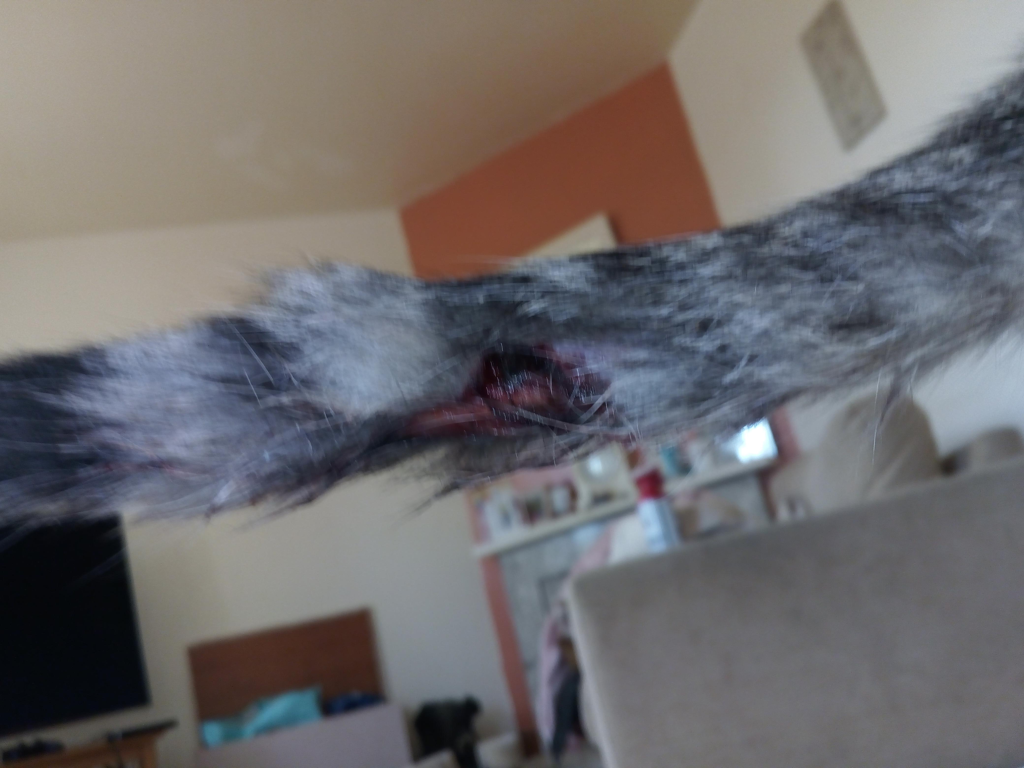 Question details sensitive content