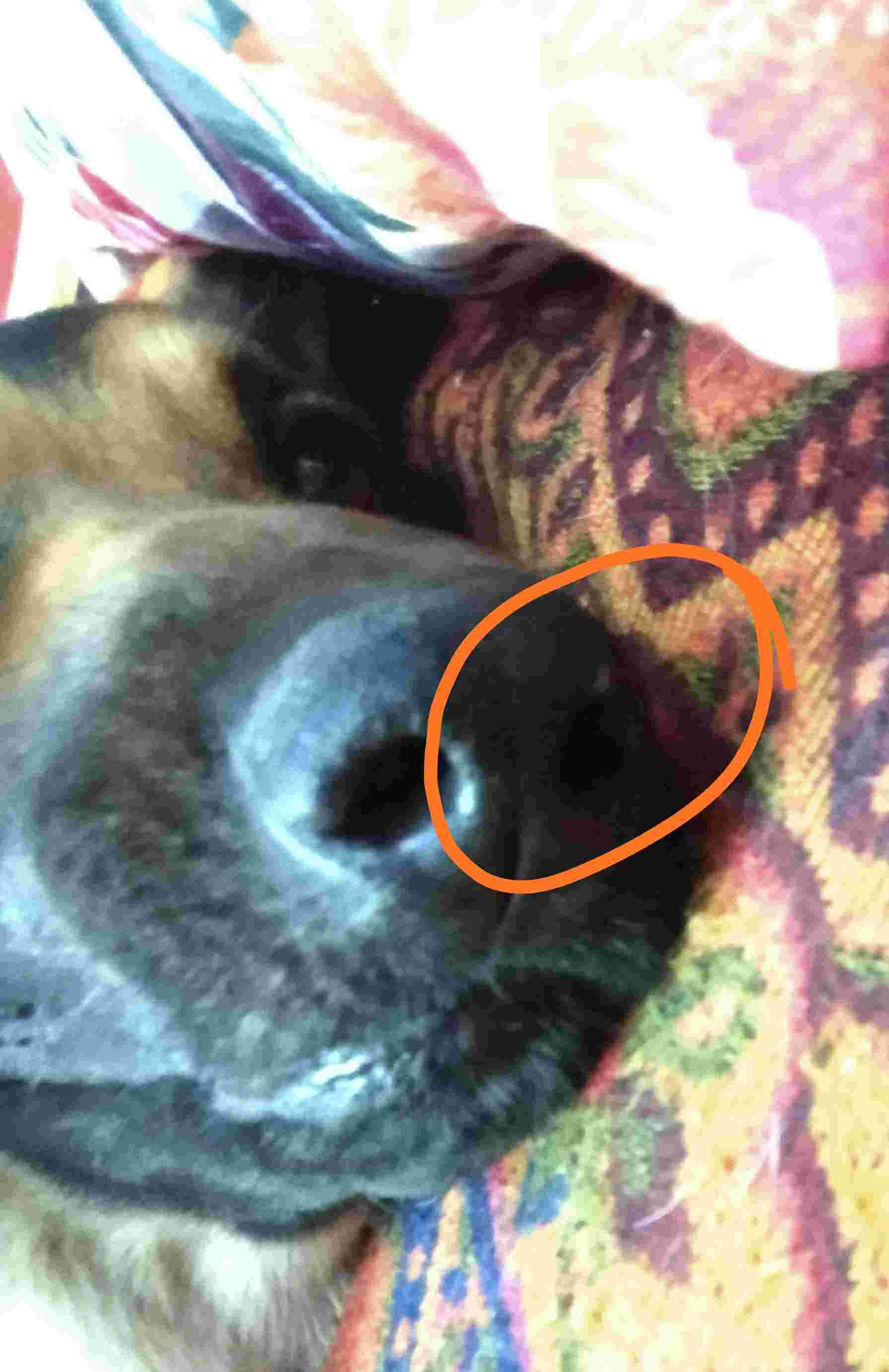 Question details sensitive content