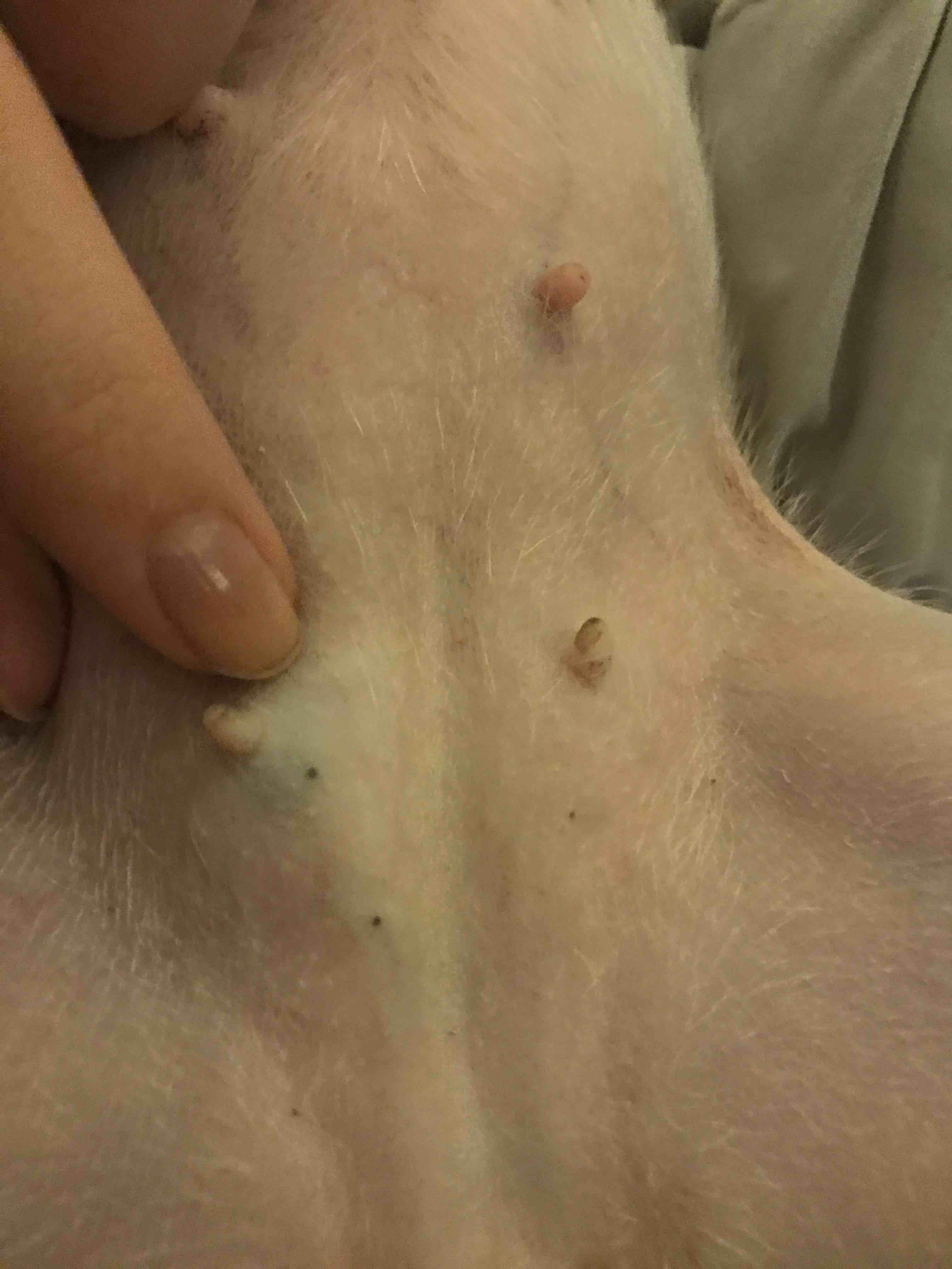 Question details sensitive content