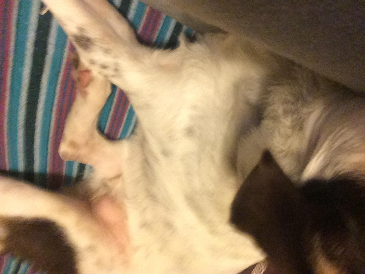 Question details sensitive content