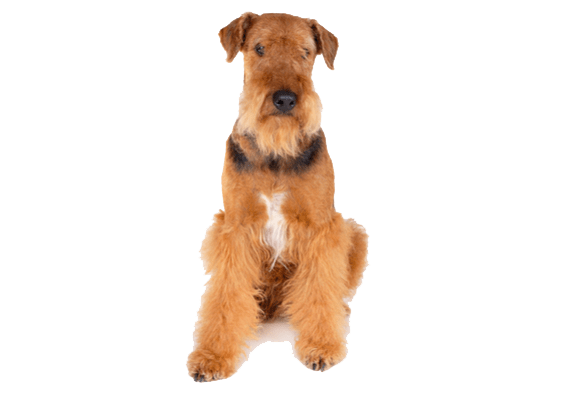 Petco Pet Education Center