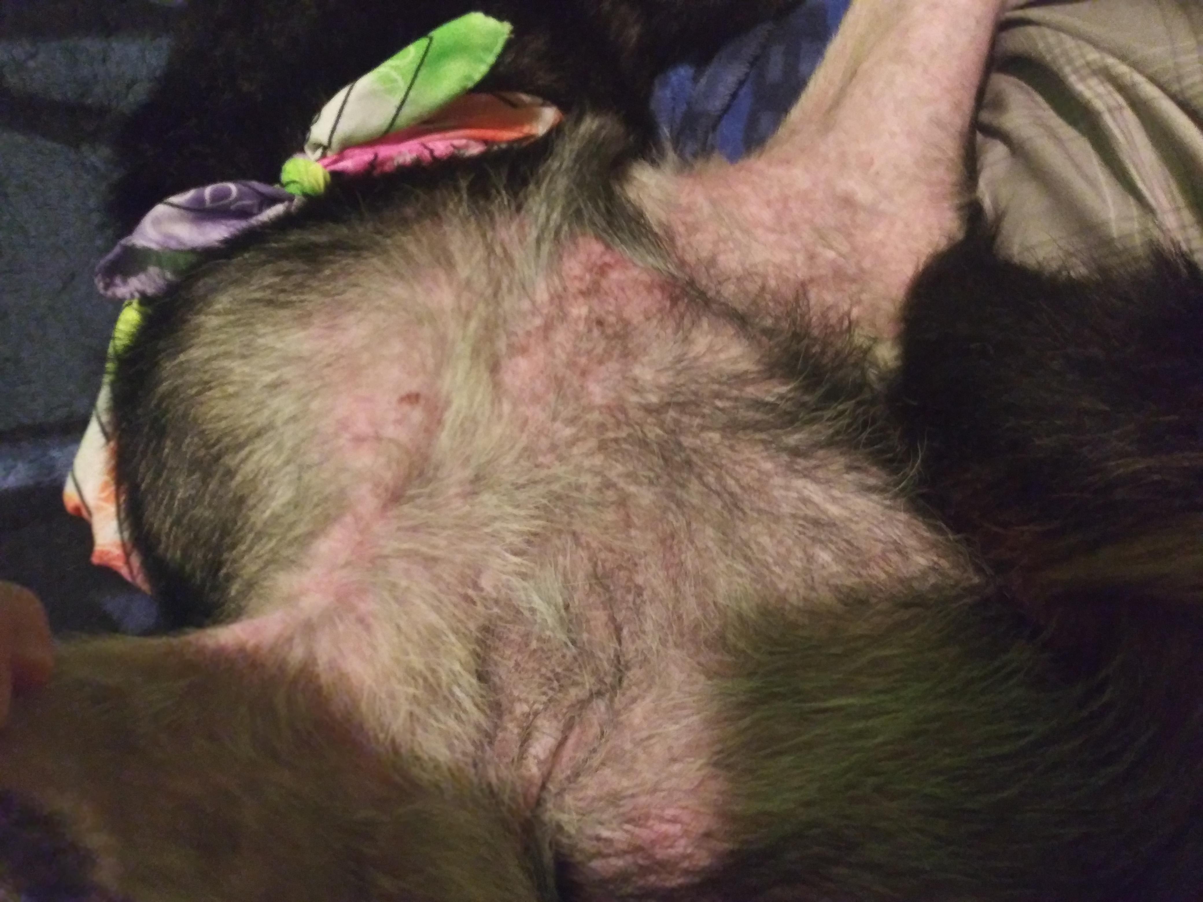 Question details sensitive content