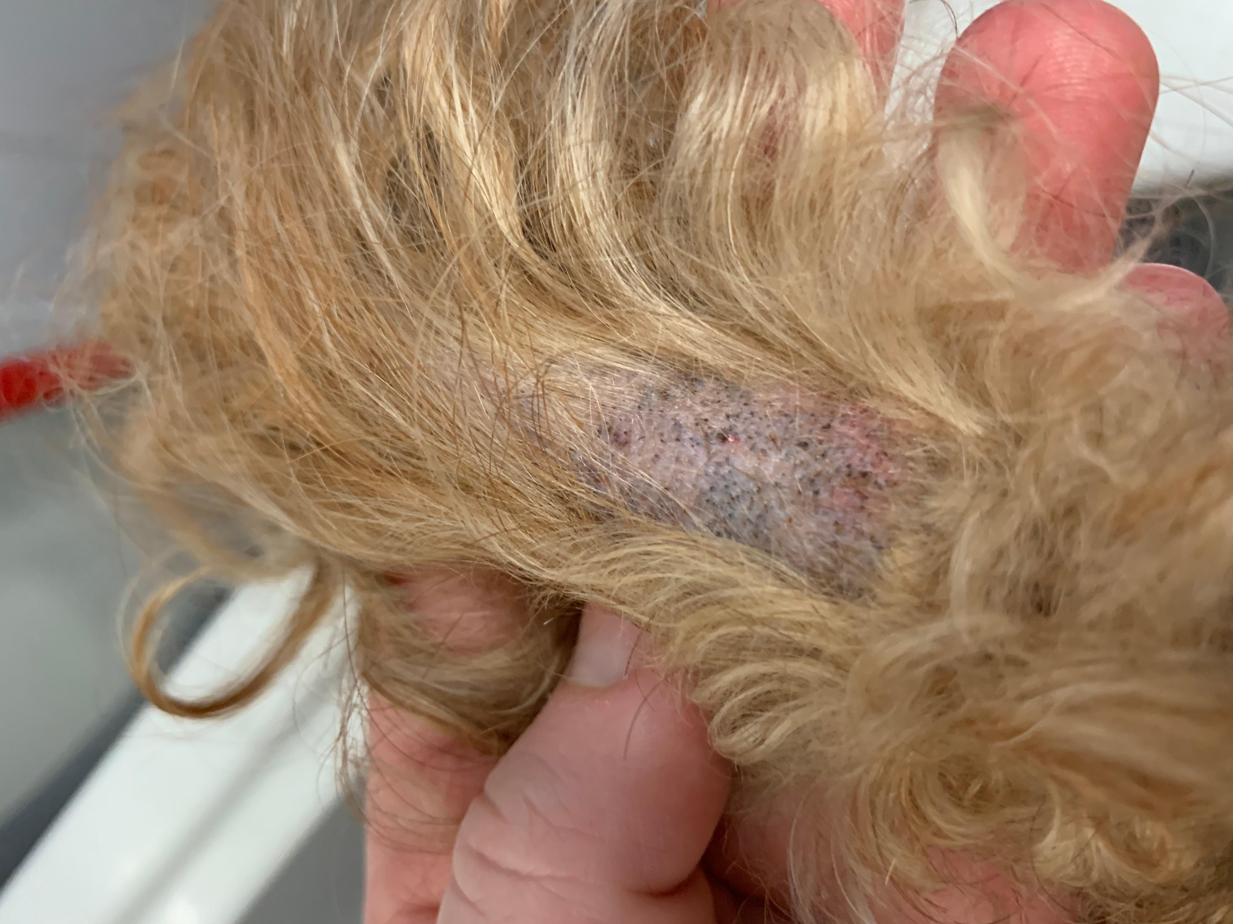 Question details sensitive content