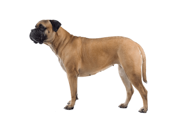 Petco Pet Education Center