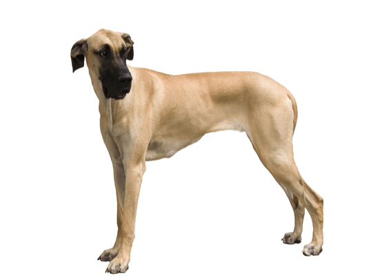 Petco Pet Education Center