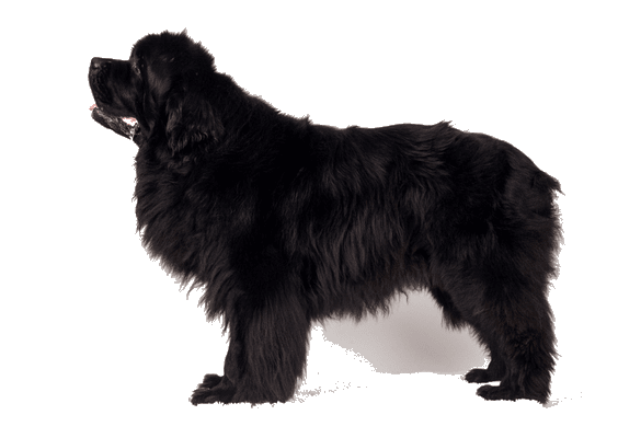 Petco Pet Education Center