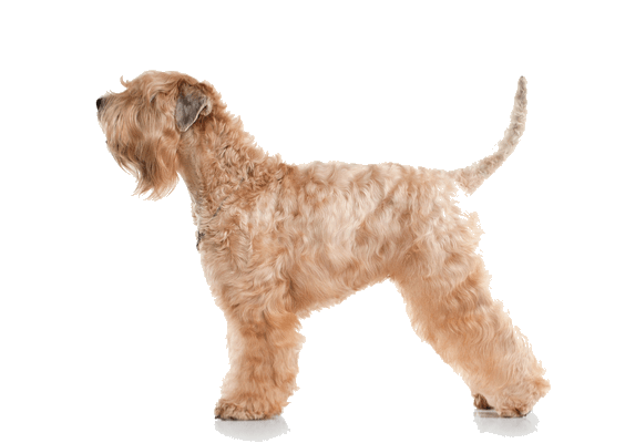 Petco Pet Education Center