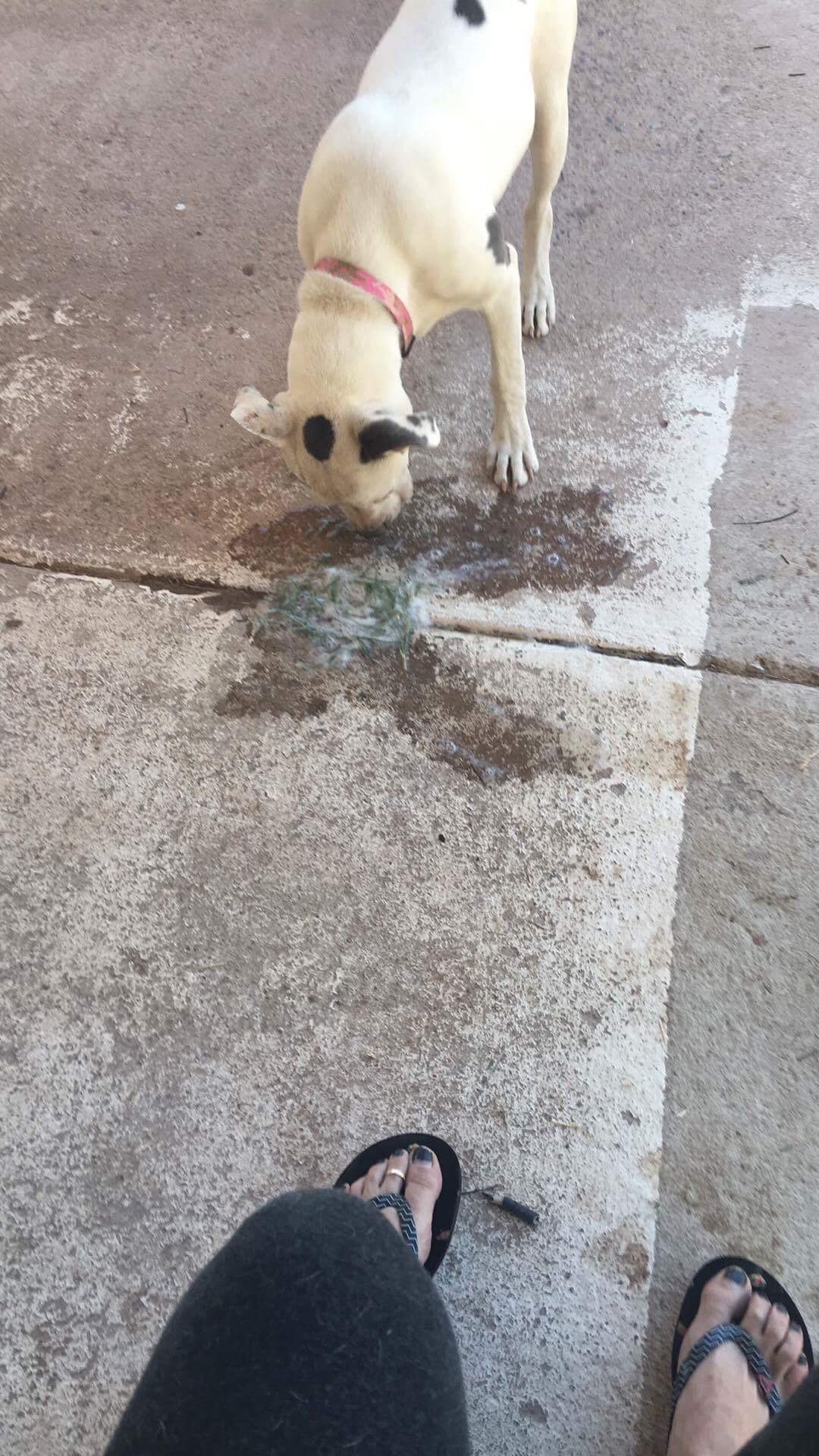 Question details sensitive content