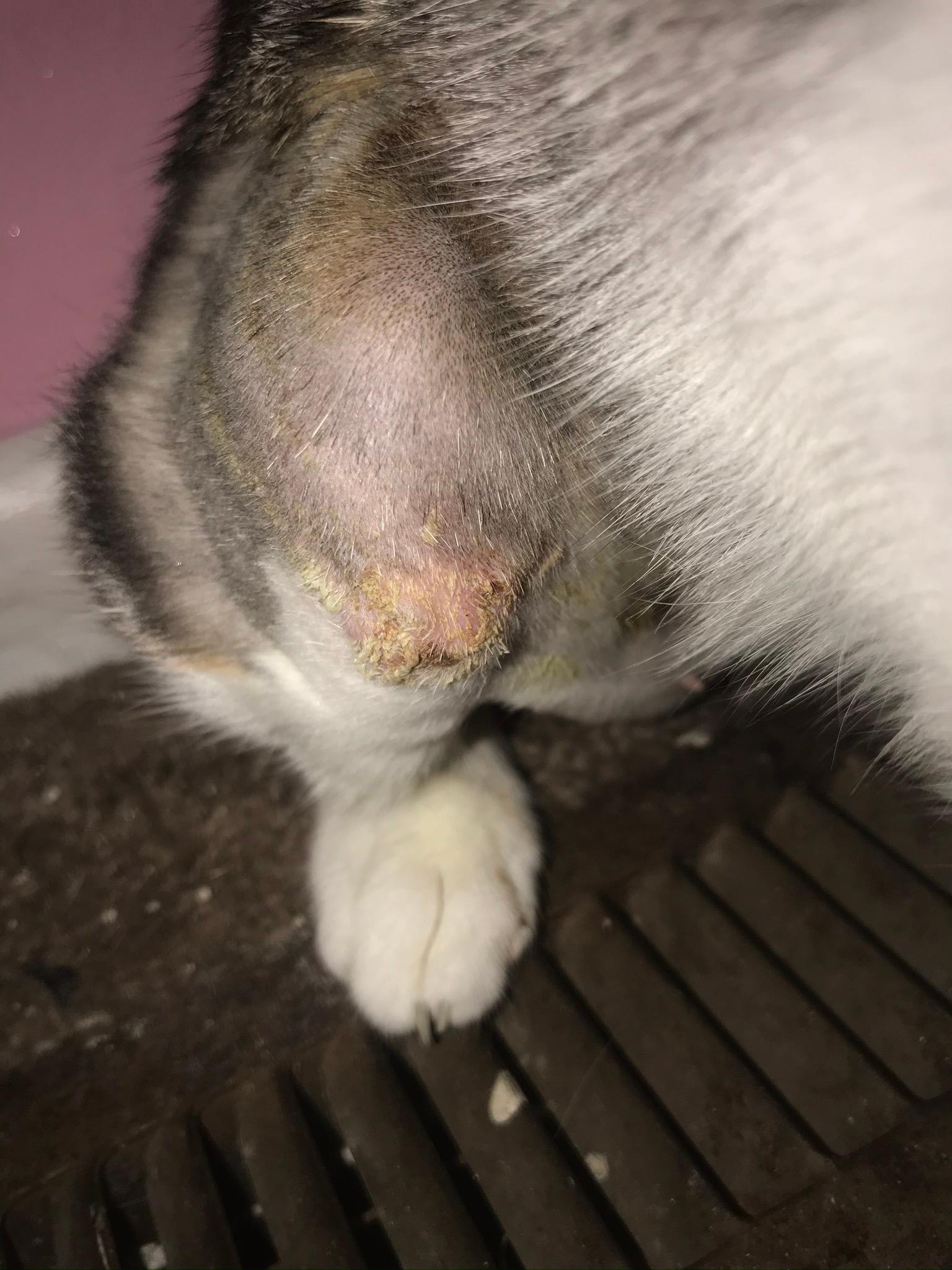 Question details sensitive content