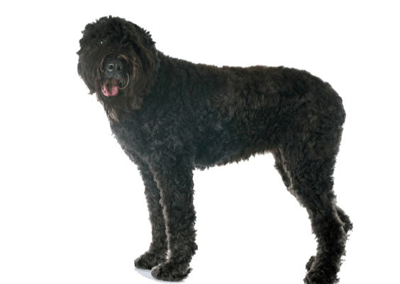 Petco Pet Education Center