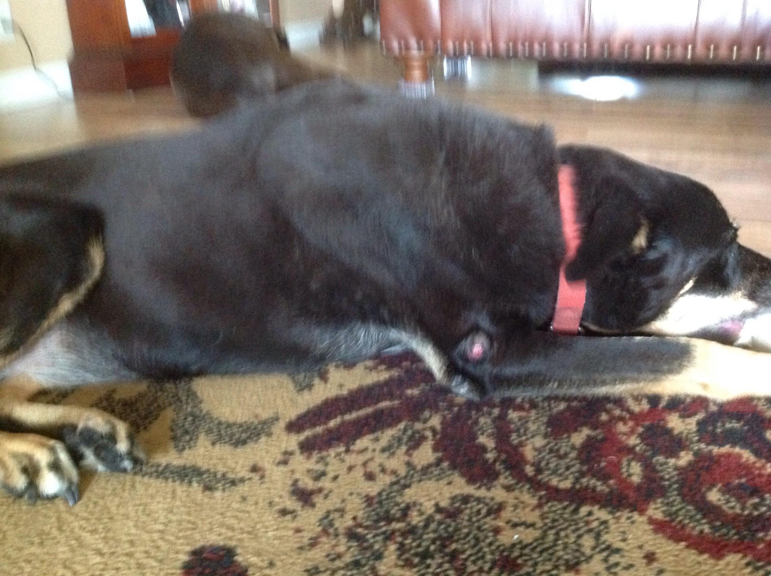 Question details sensitive content