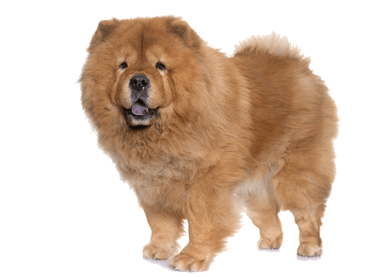 Petco Pet Education Center