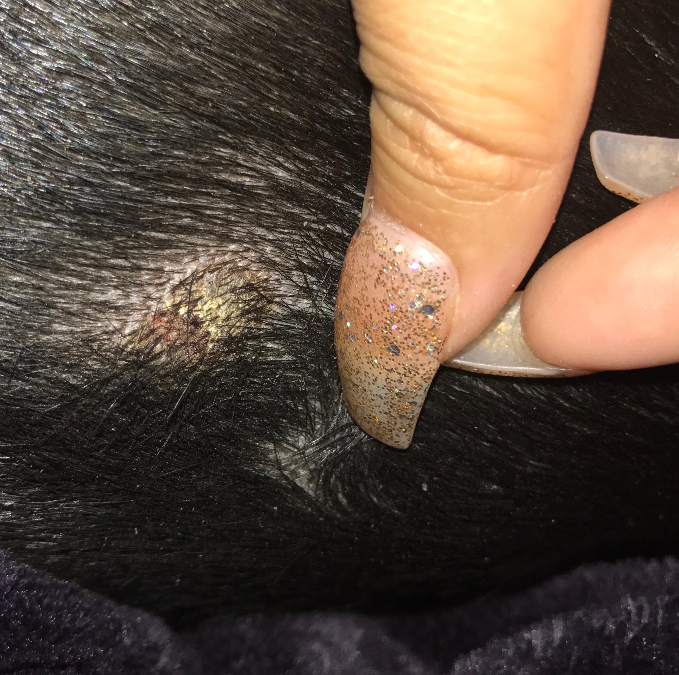 Question details sensitive content