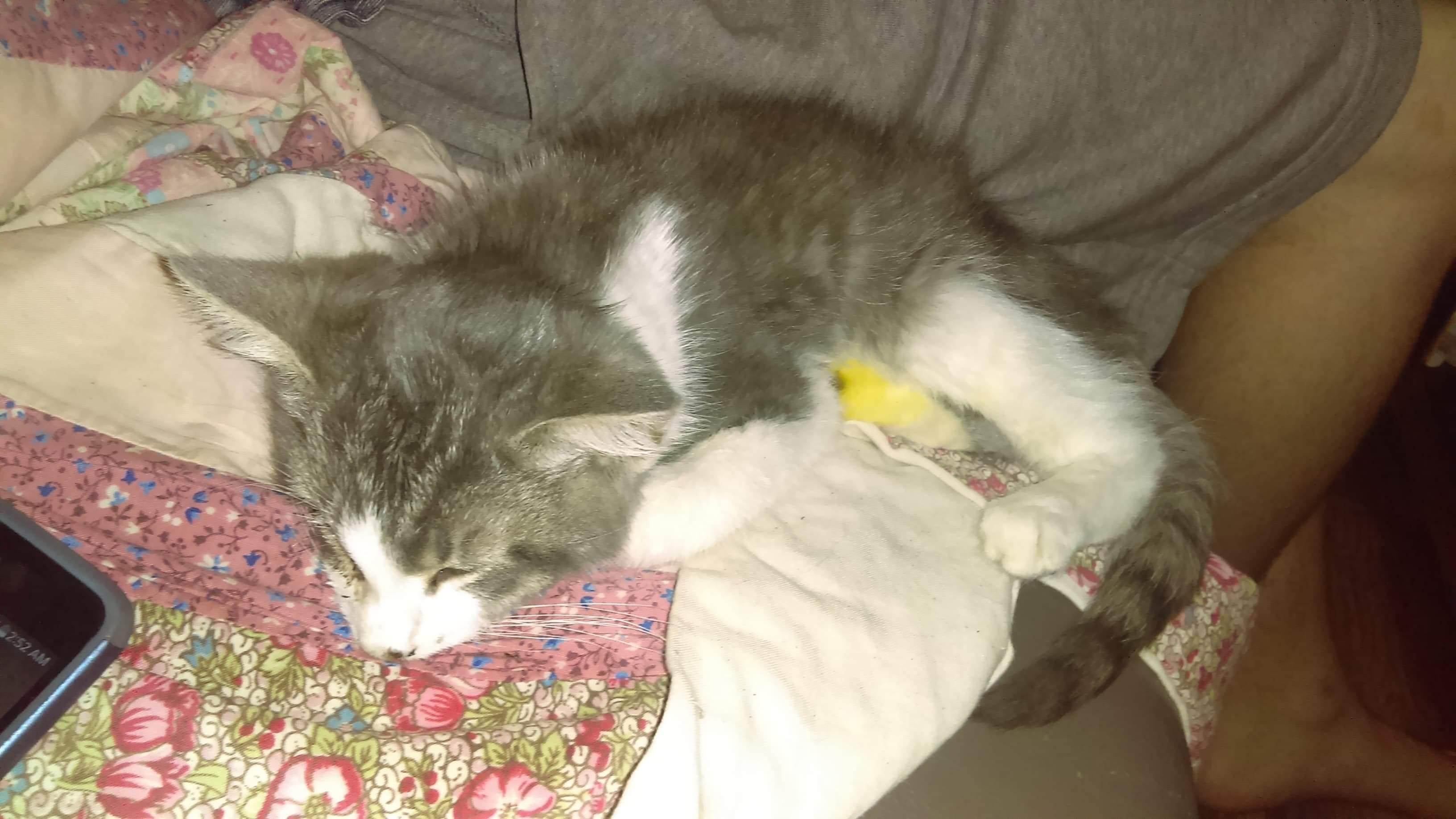 Question details sensitive content