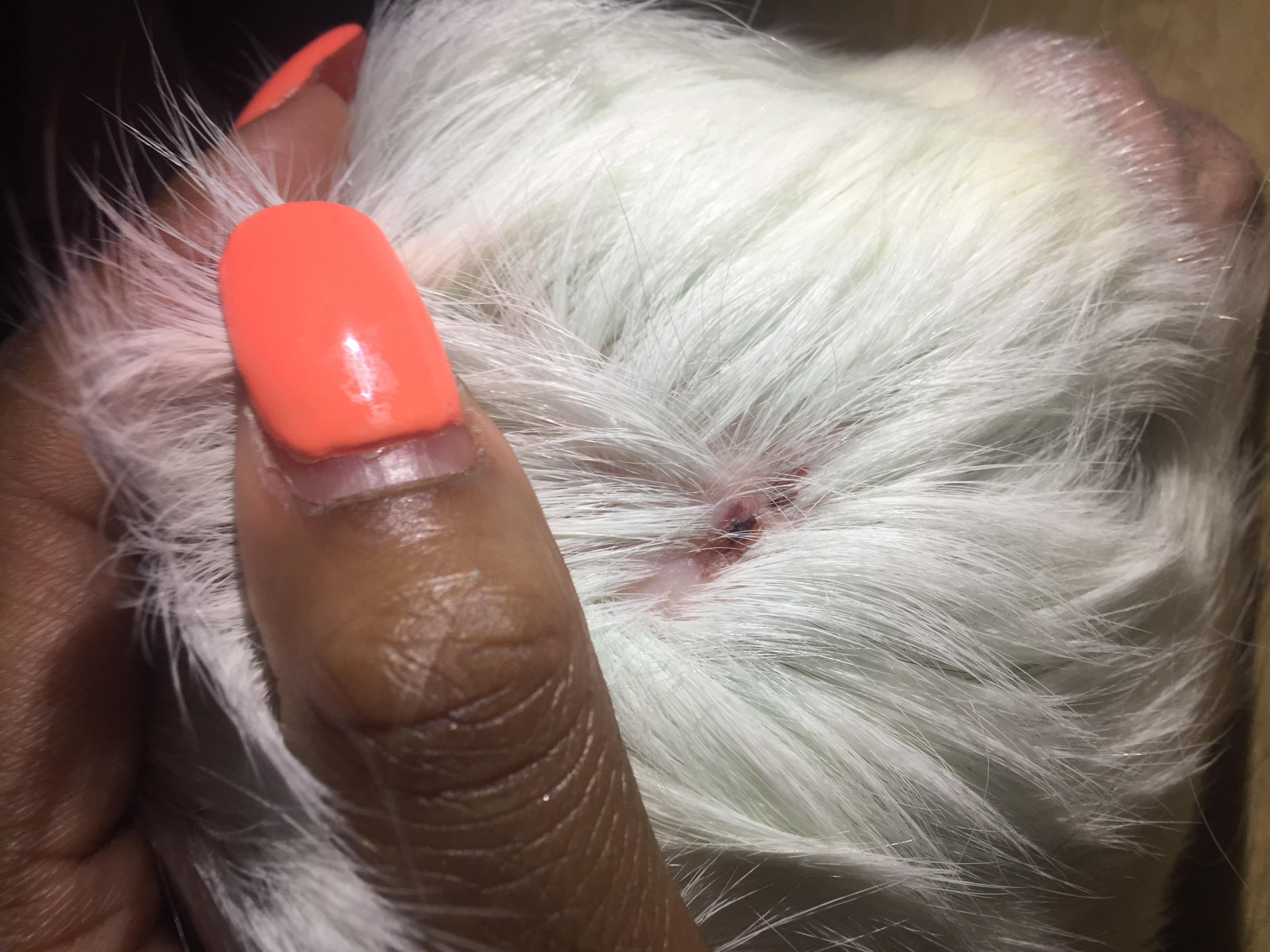 Question details sensitive content