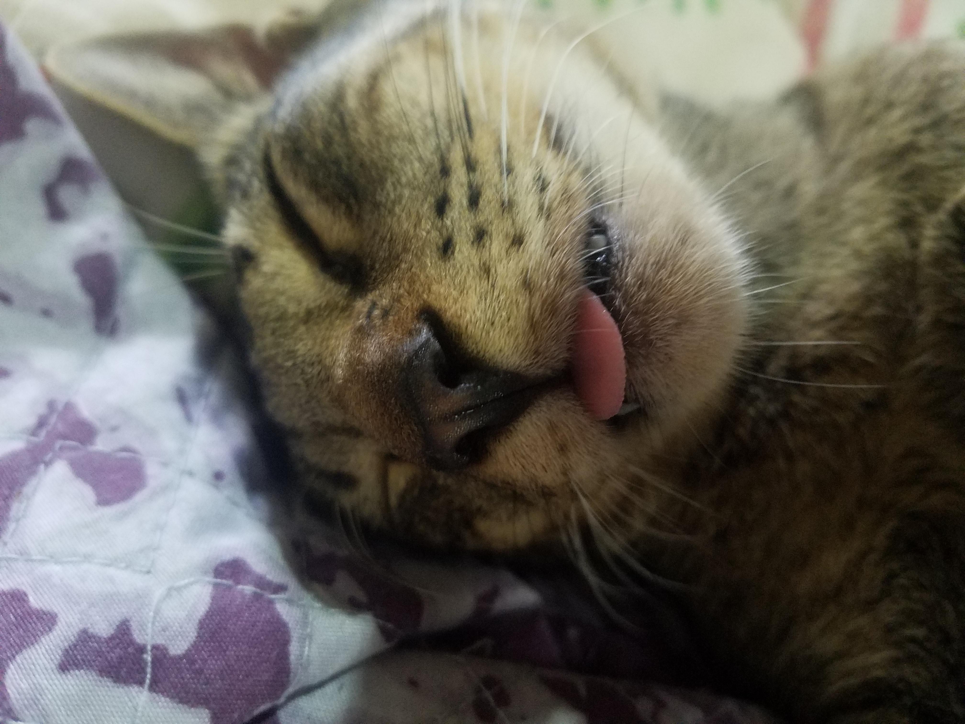 Question details sensitive content