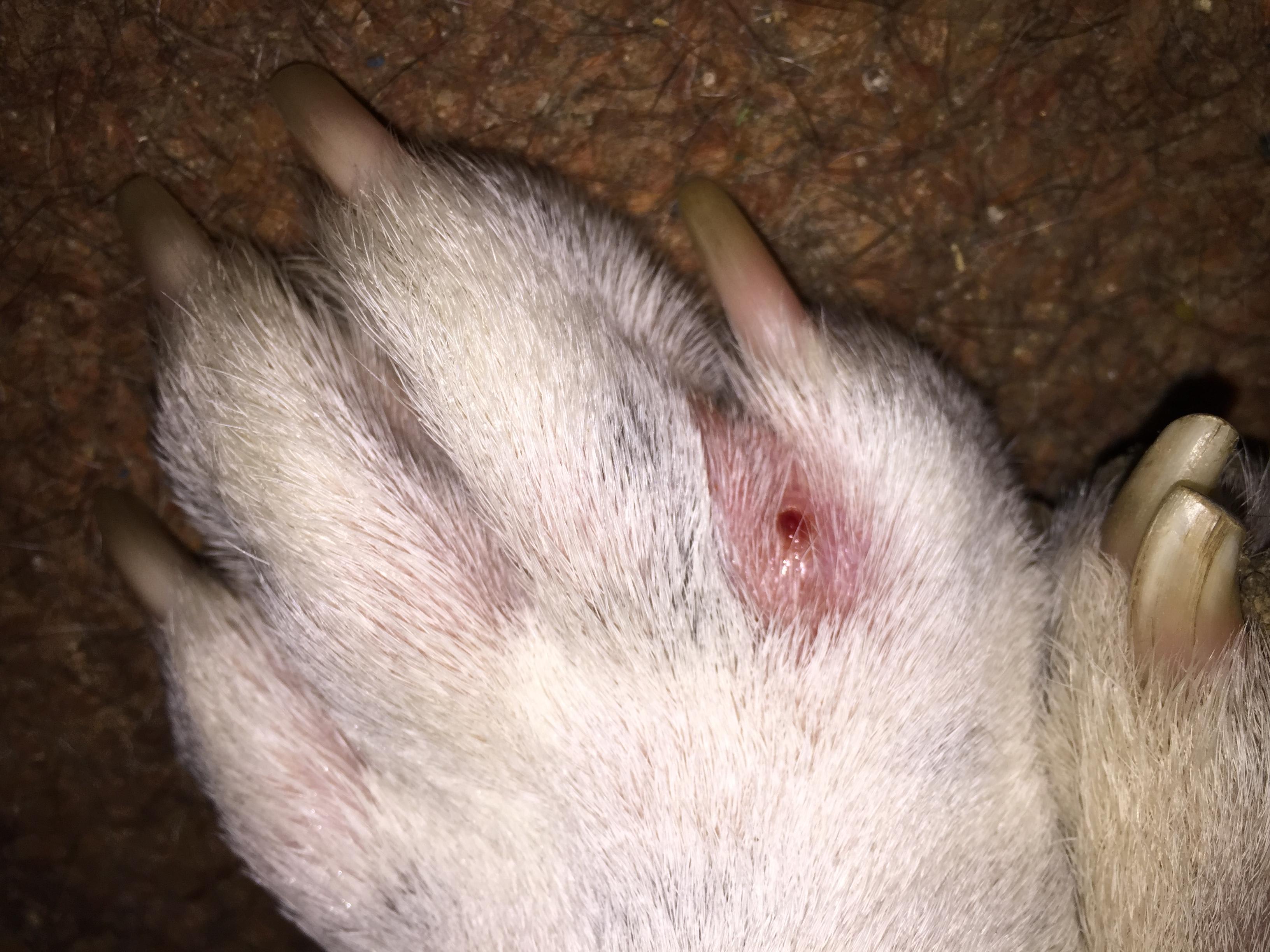 Question details sensitive content