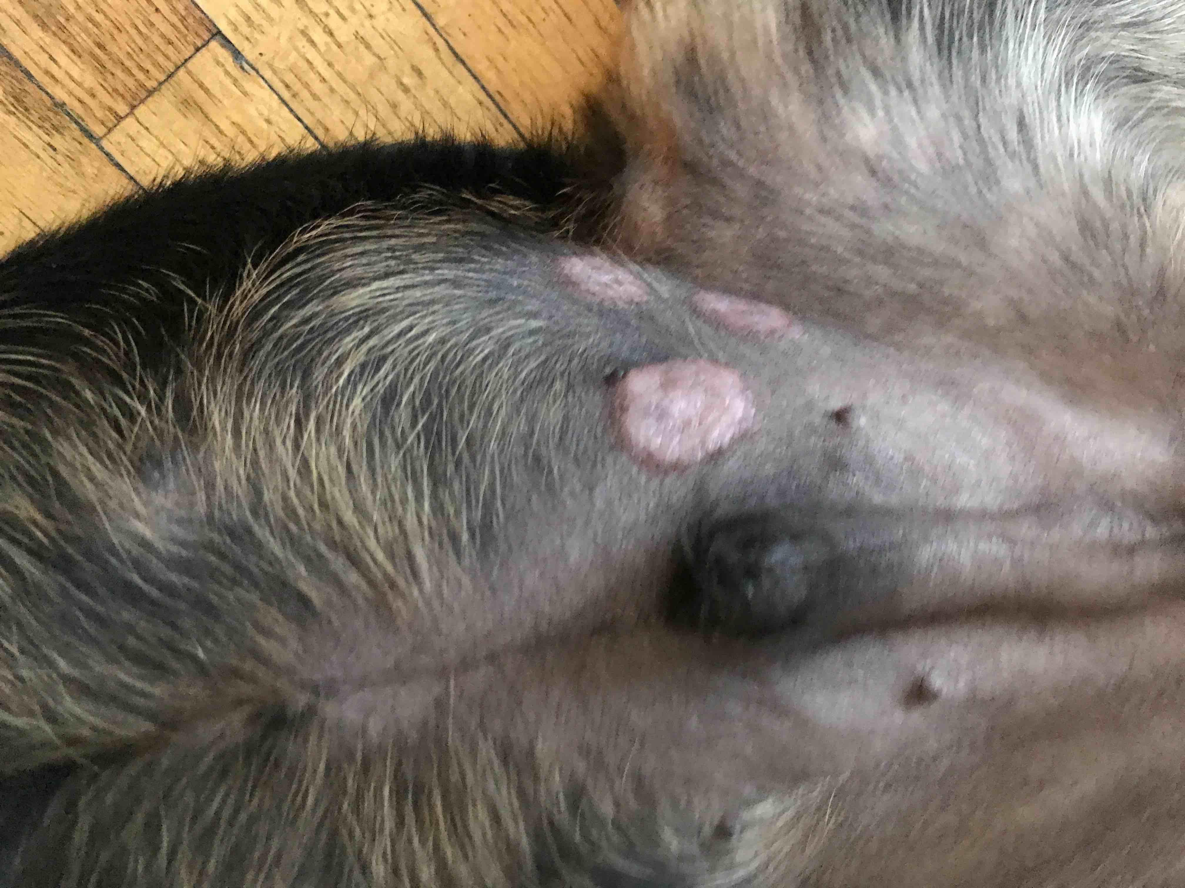 Question details sensitive content