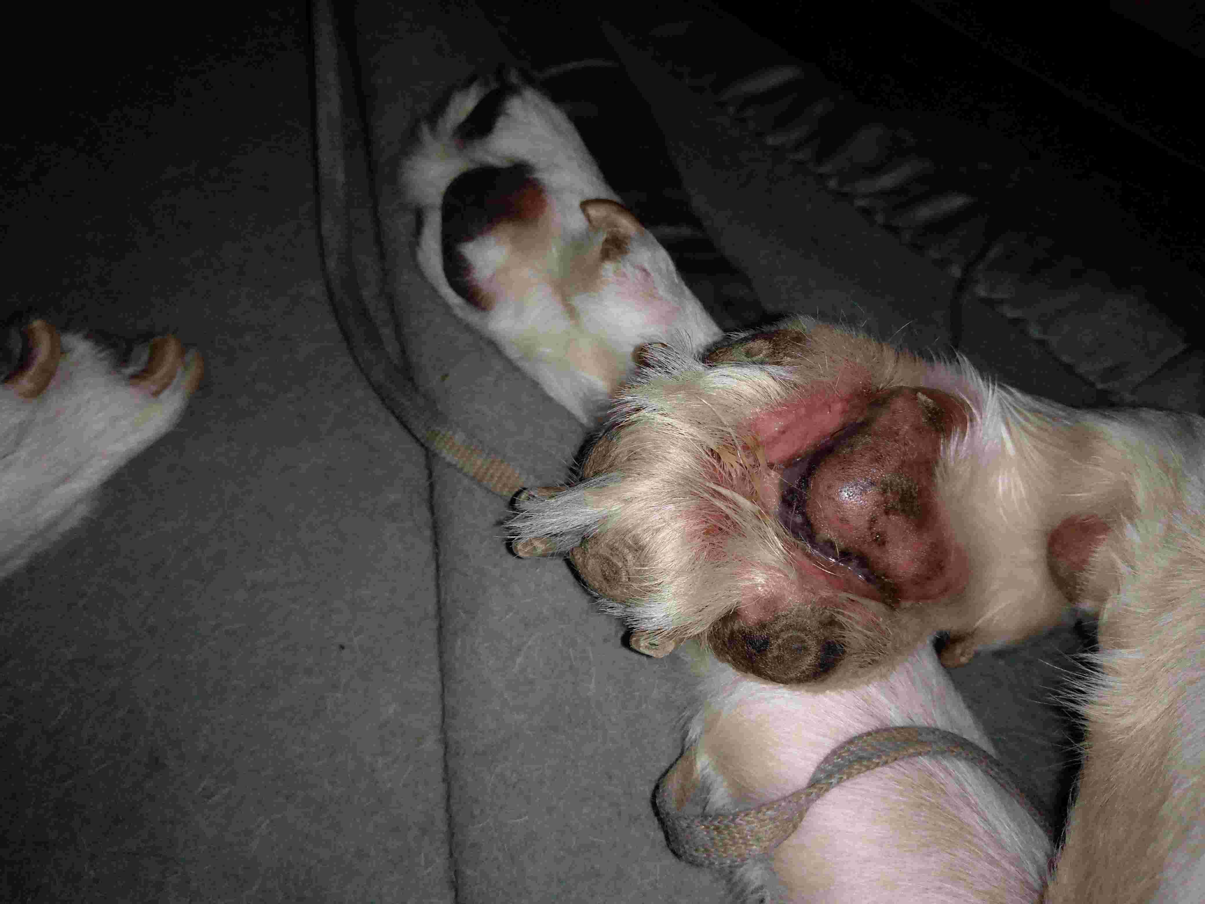 Question details sensitive content