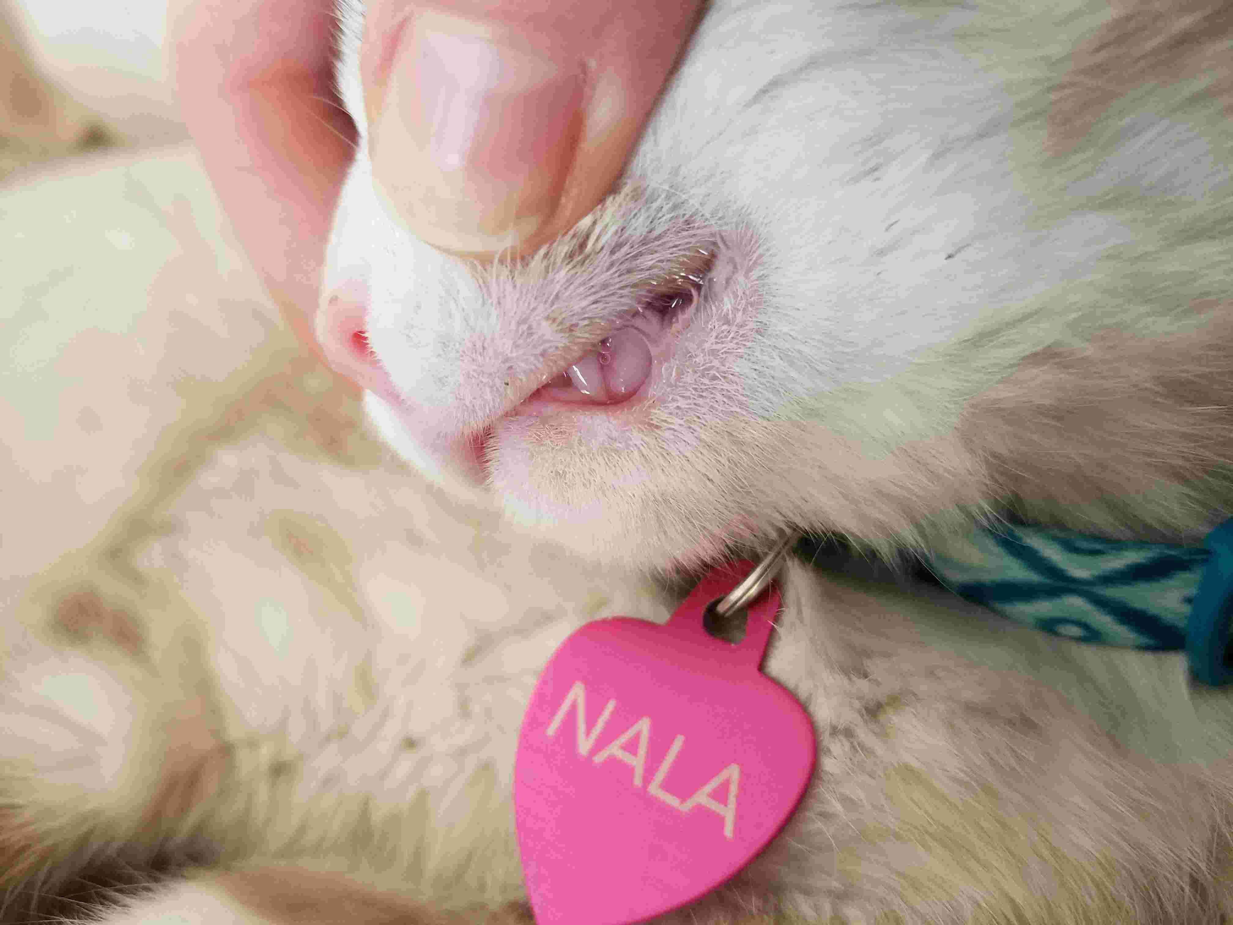 Question details sensitive content