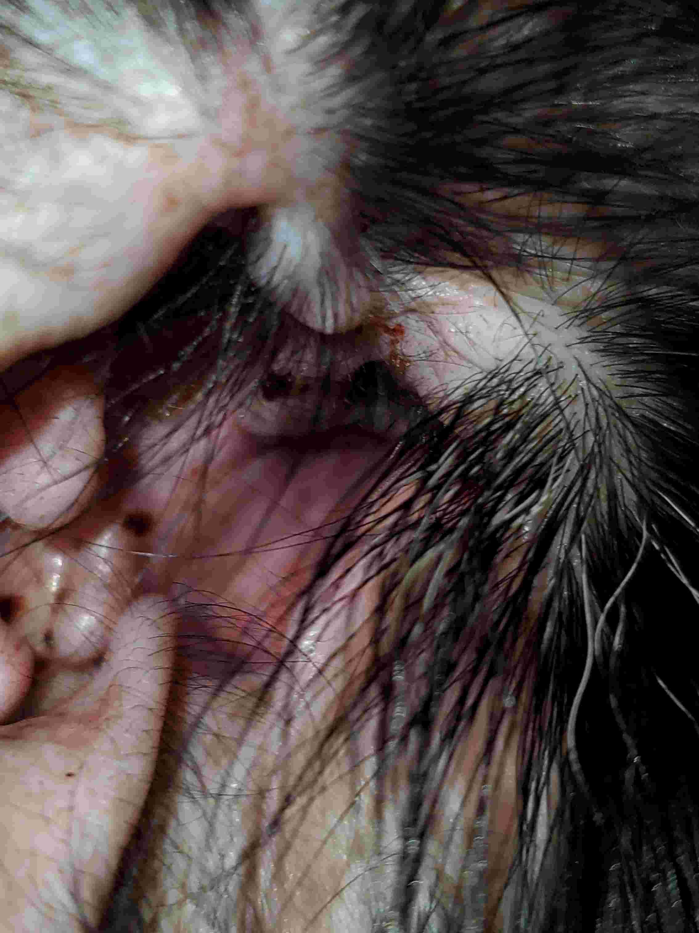 Question details sensitive content