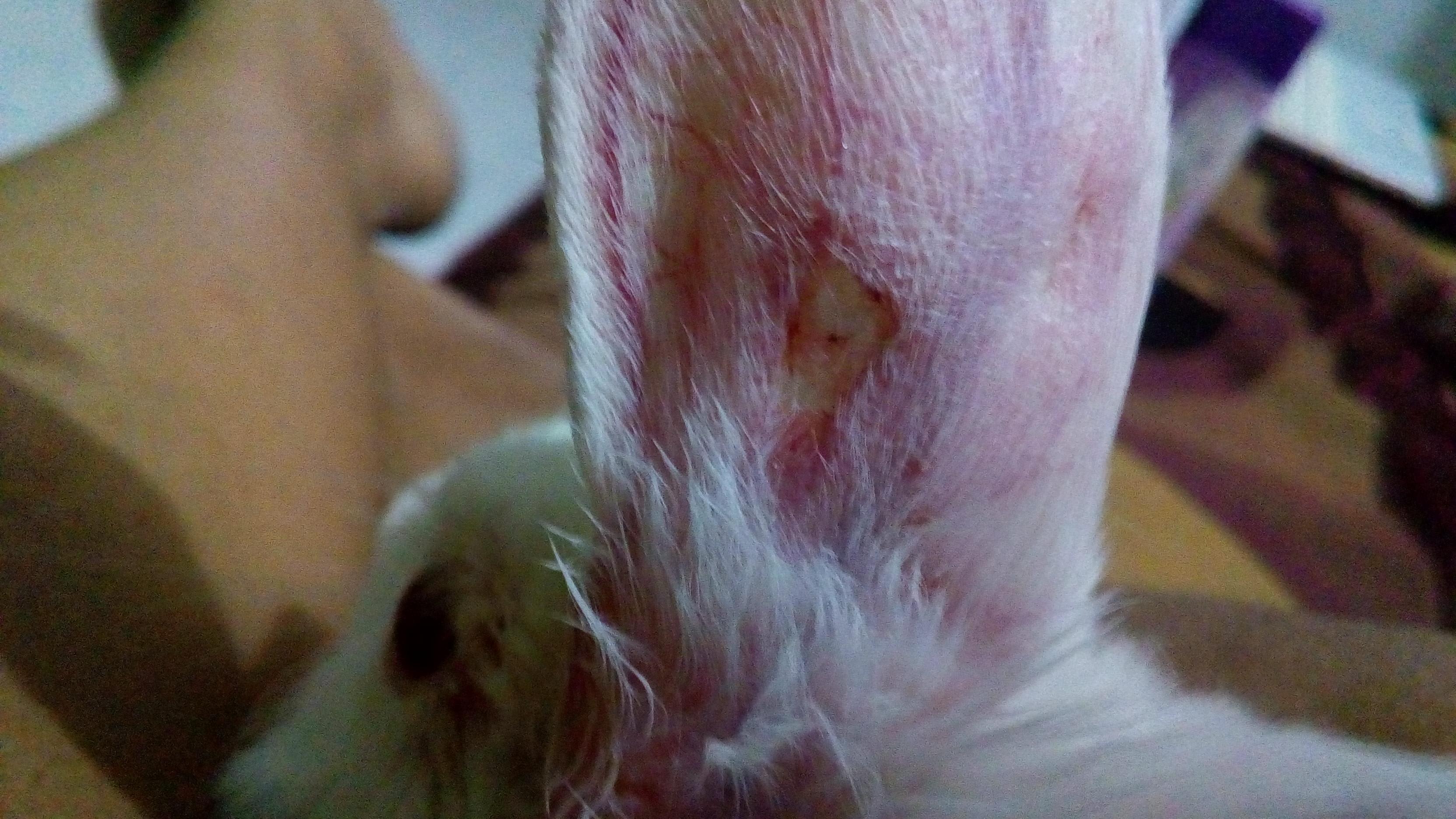 Question details sensitive content