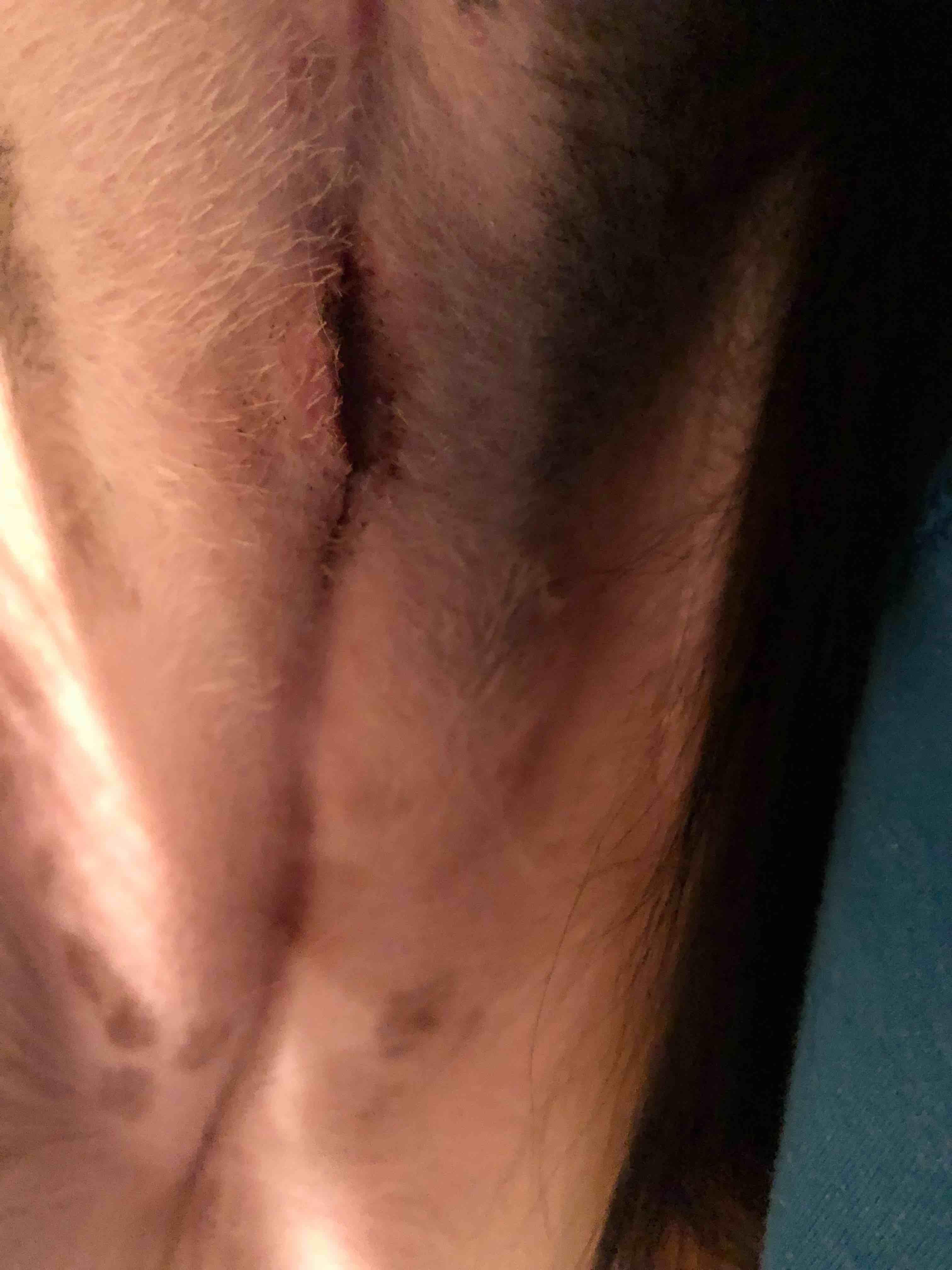 Question details sensitive content