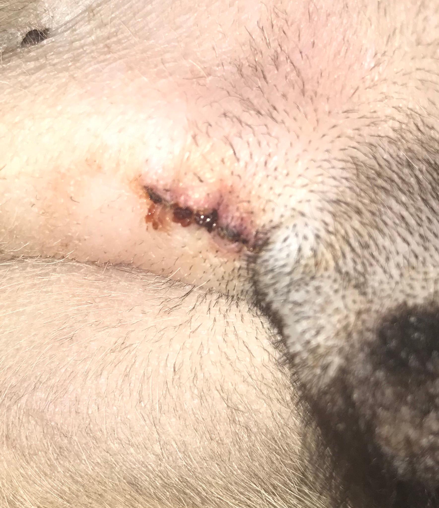 Question details sensitive content