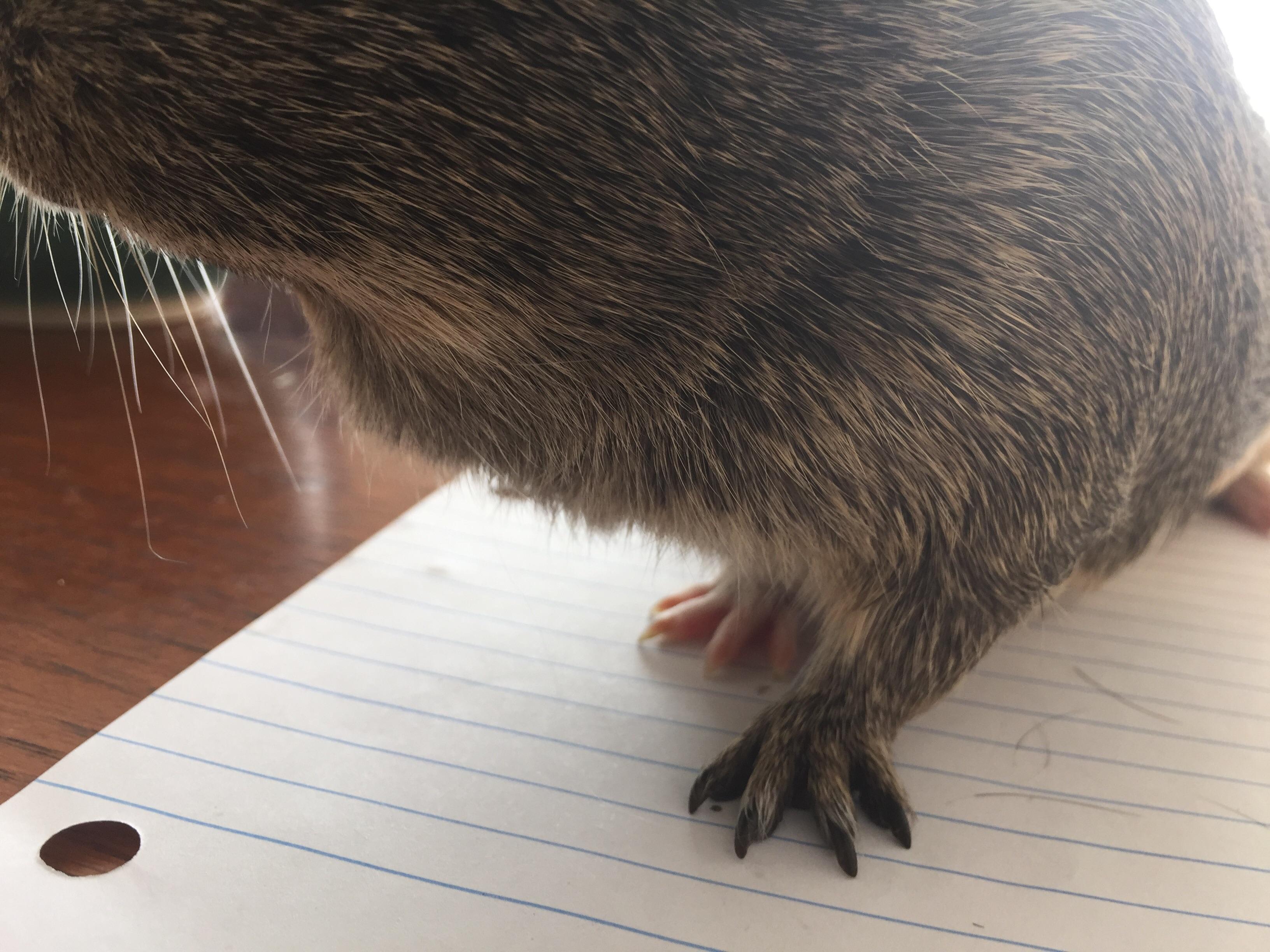 Question details sensitive content