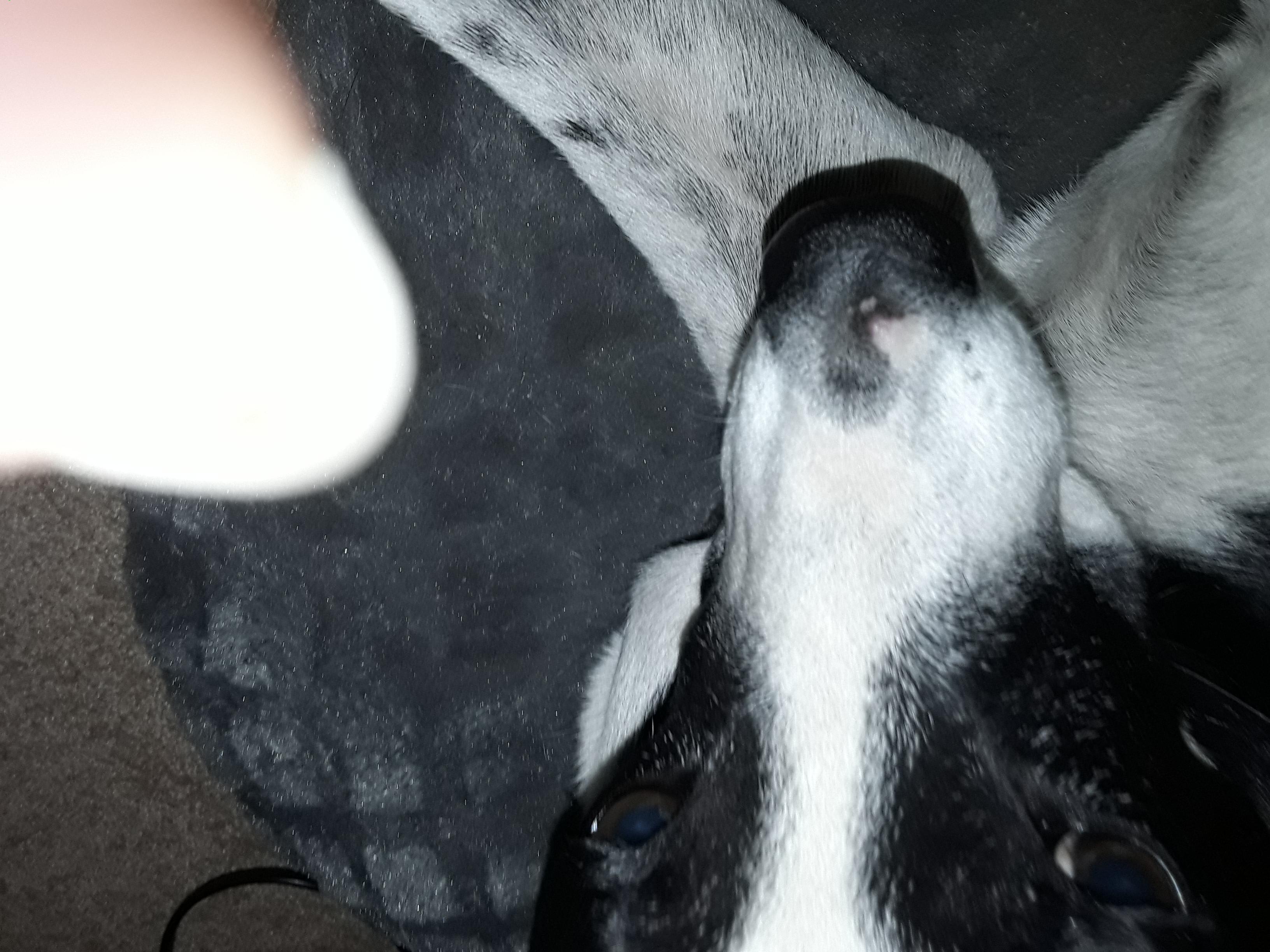 Question details sensitive content