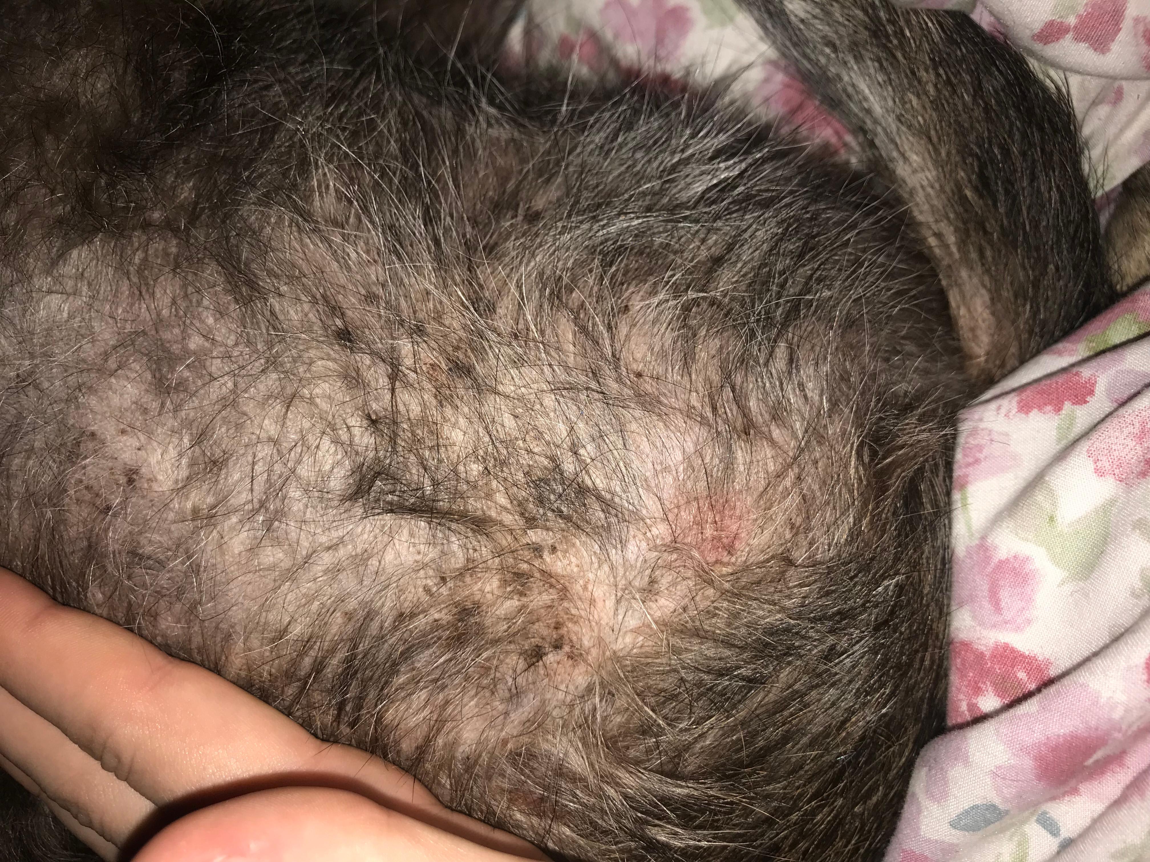 Question details sensitive content