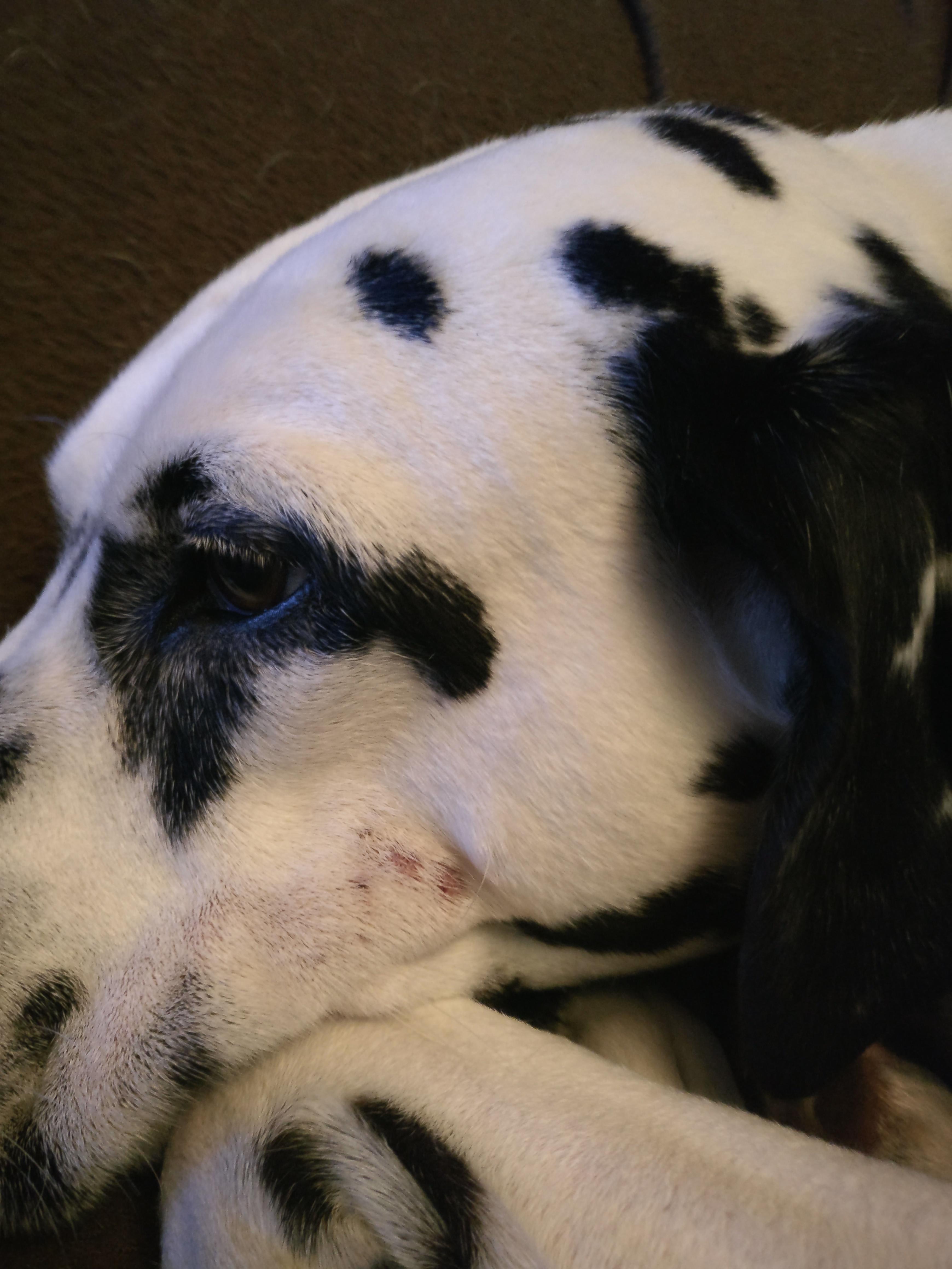 Question details sensitive content