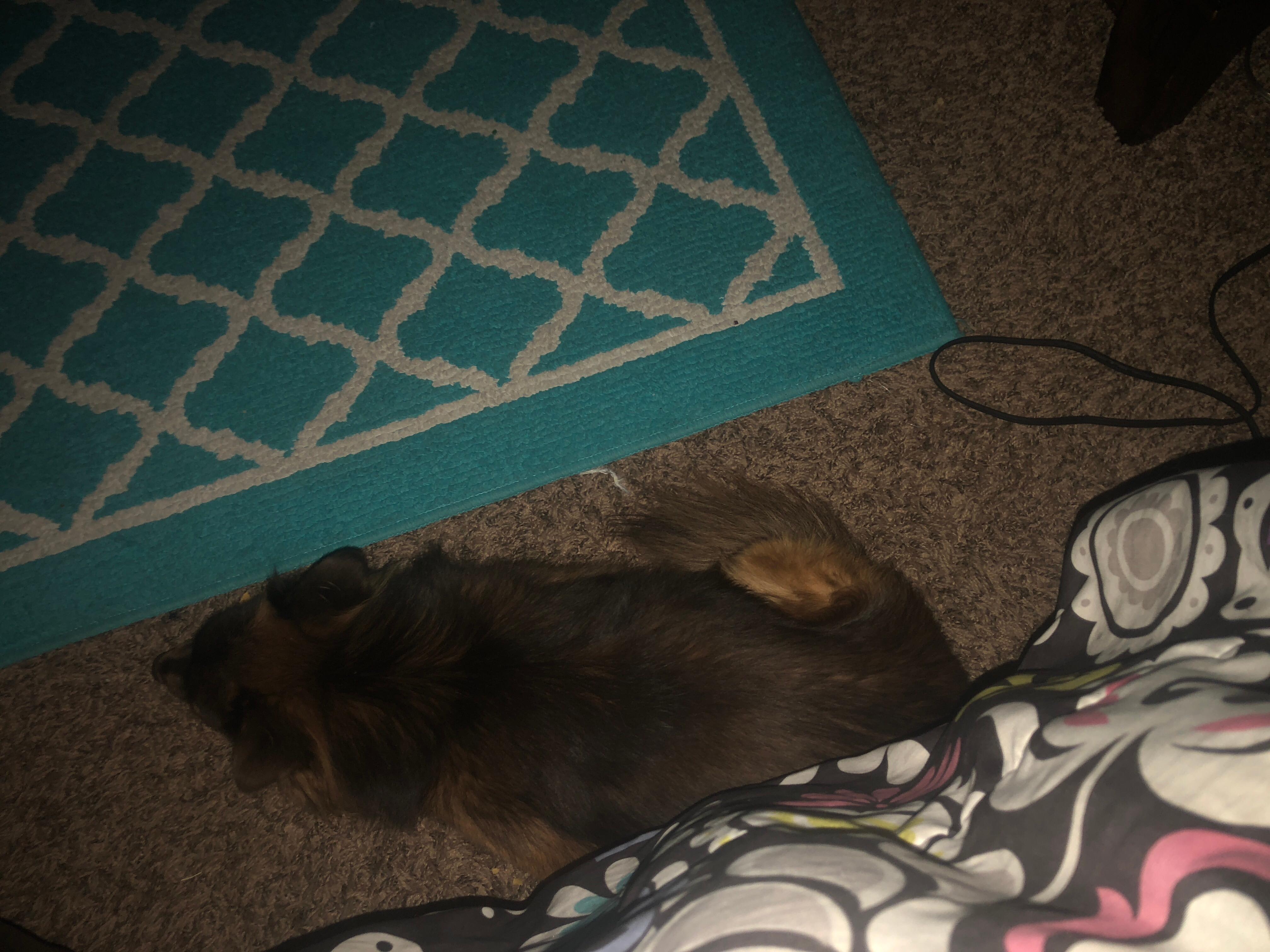 Question details sensitive content