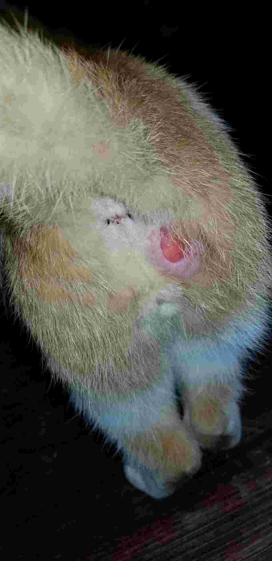 Question details sensitive content