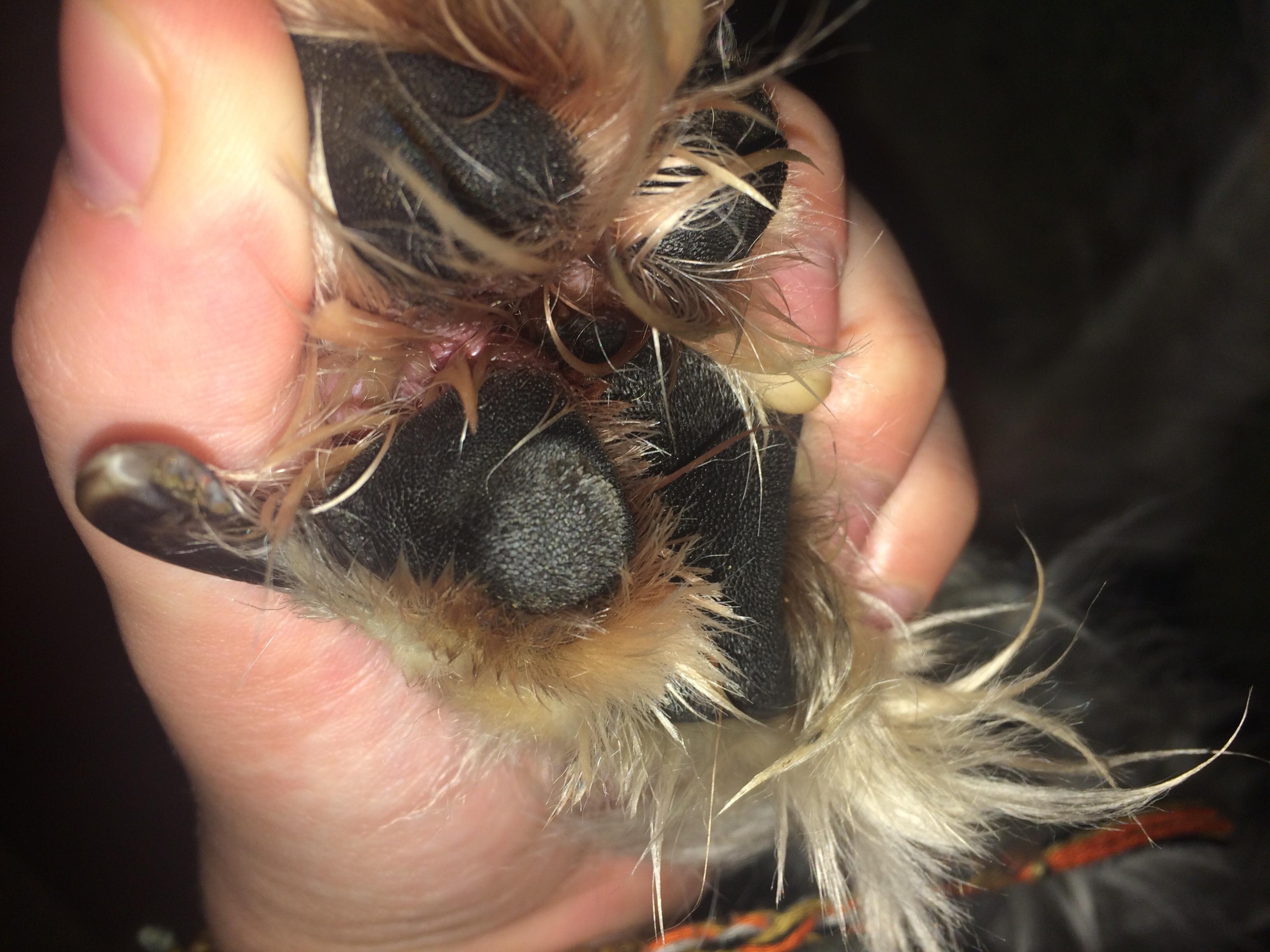 Question details sensitive content