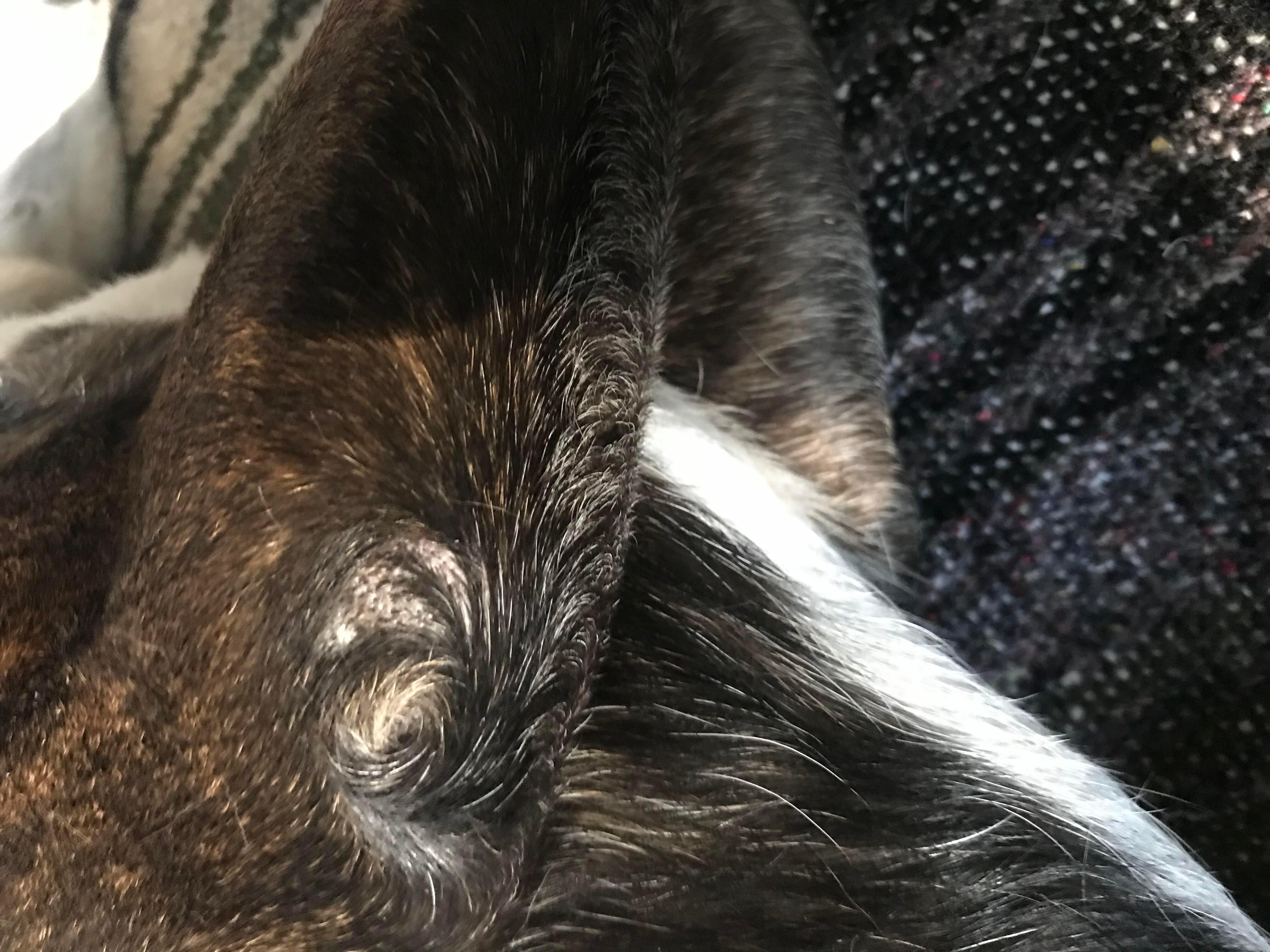 Question details sensitive content