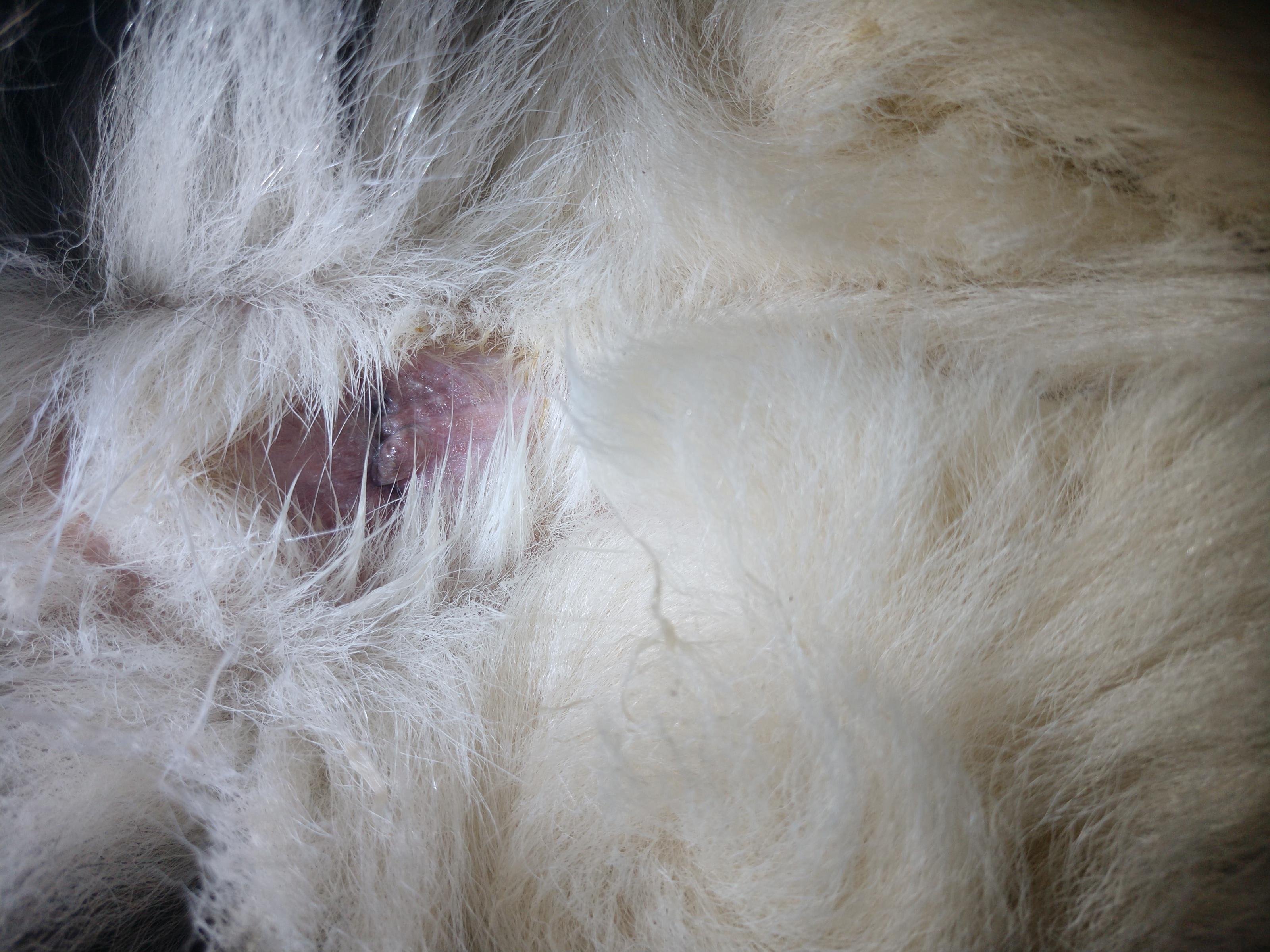 Question details sensitive content