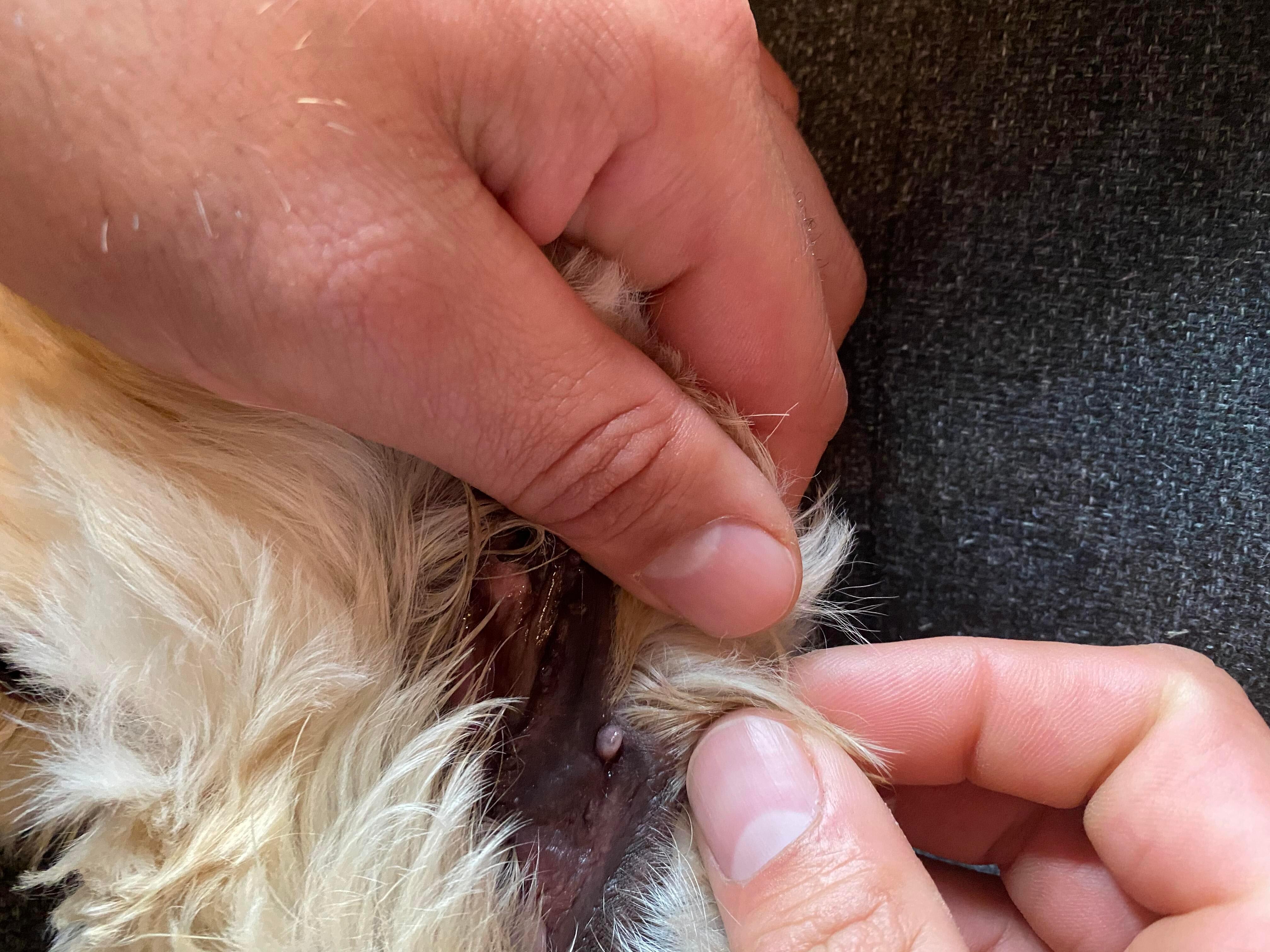 Question details sensitive content