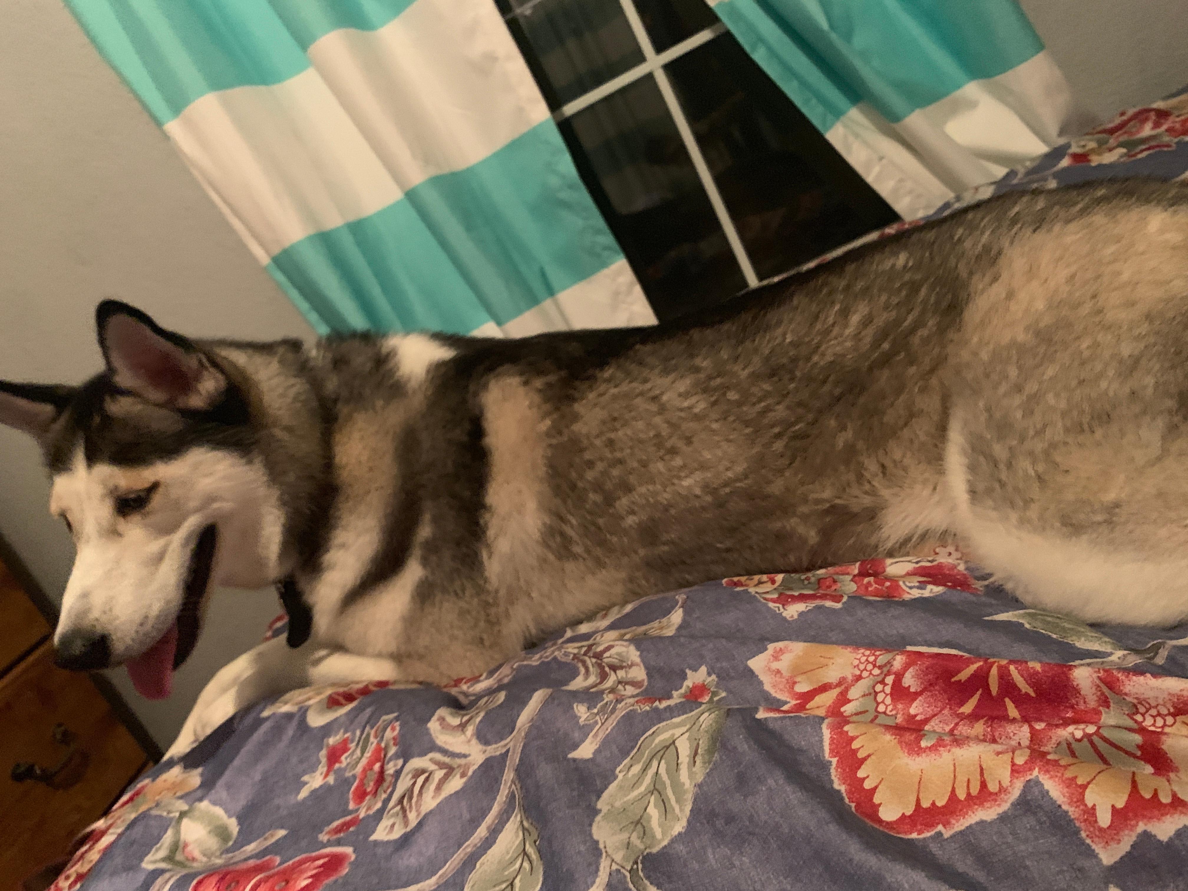 Question details sensitive content